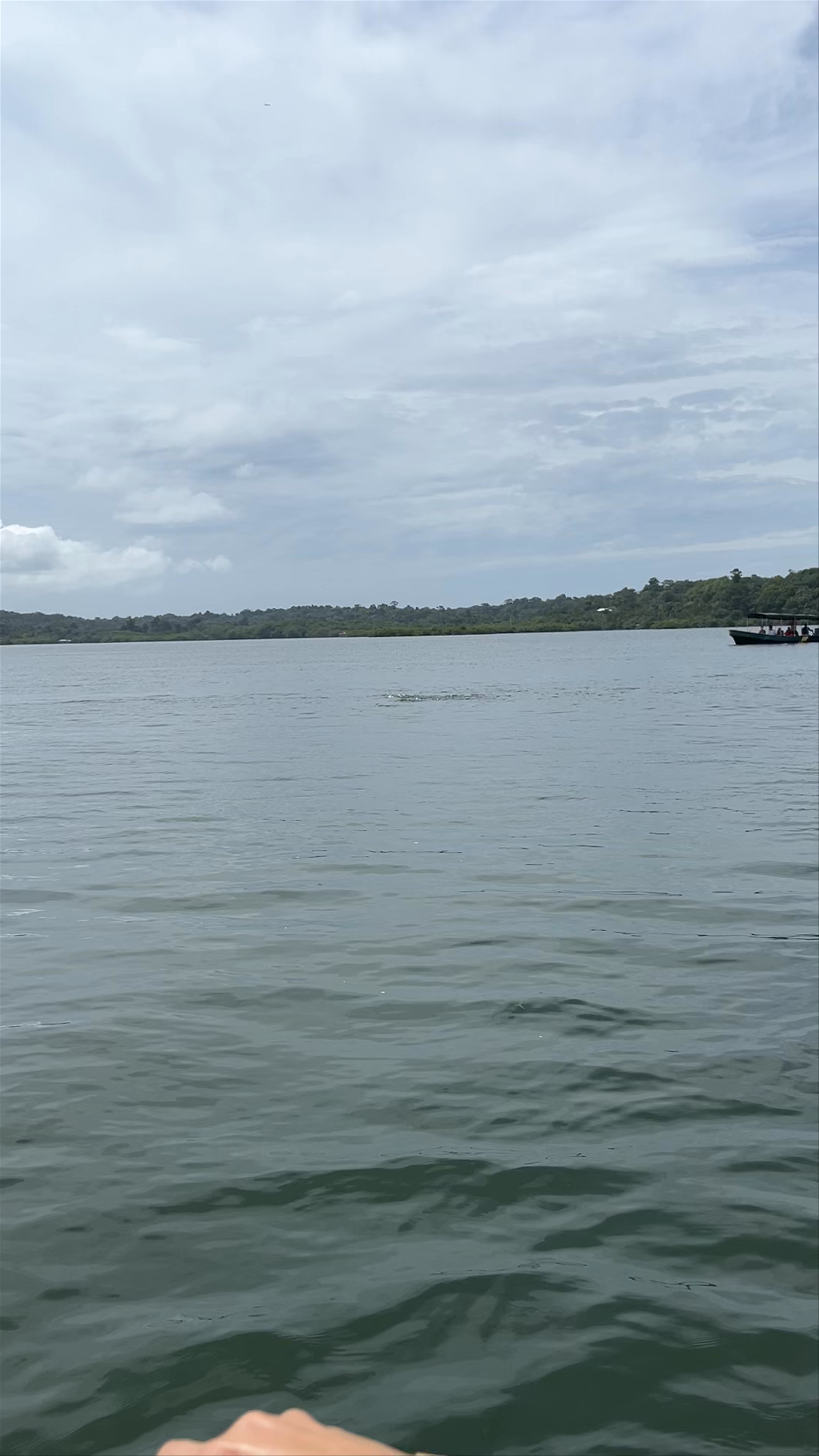 Bocas del Toro Archipelago: Tranquil Waterscape in Panama
