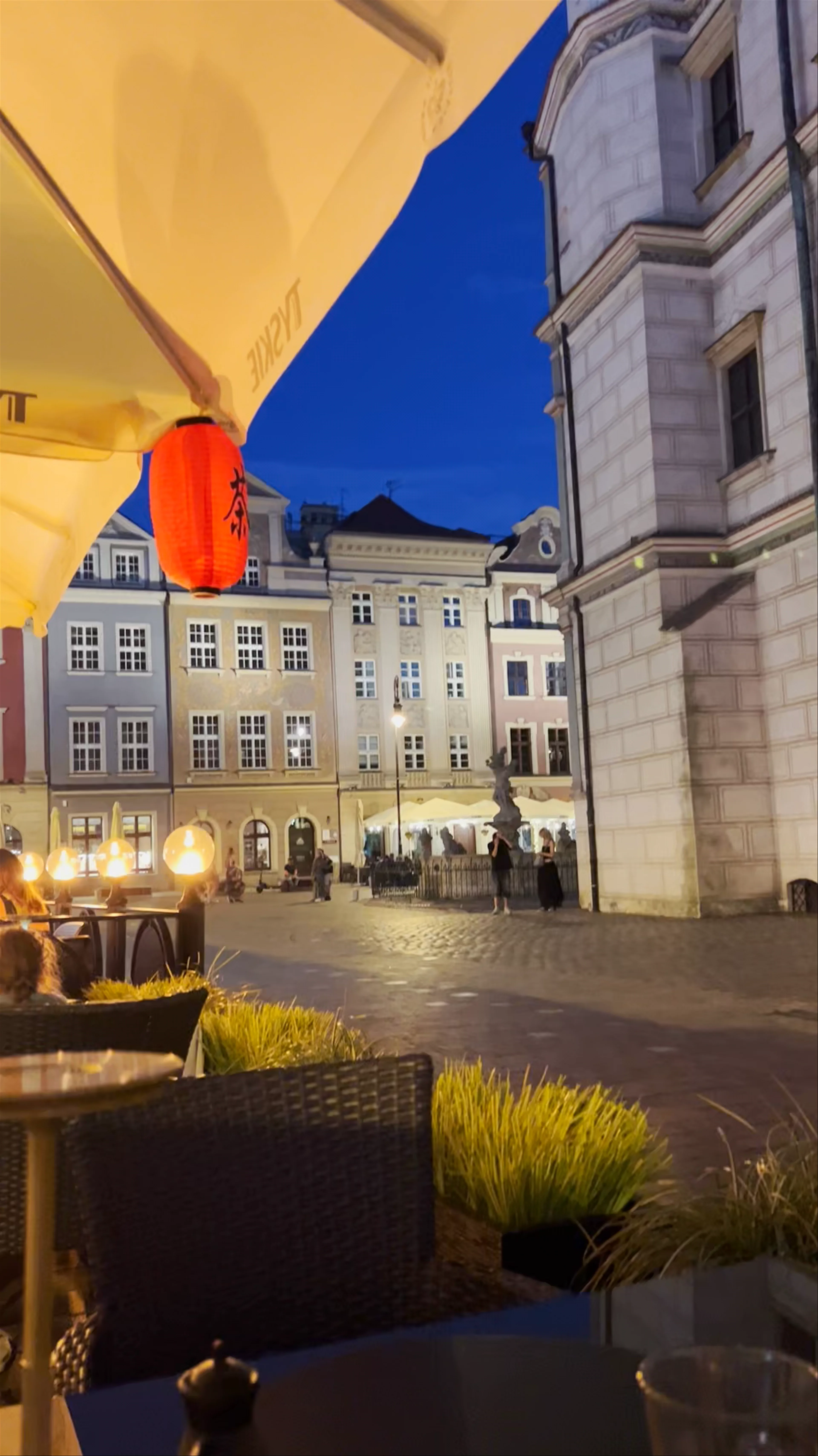 Drzewo Wiśni - Sushi and Asian Restaurant
