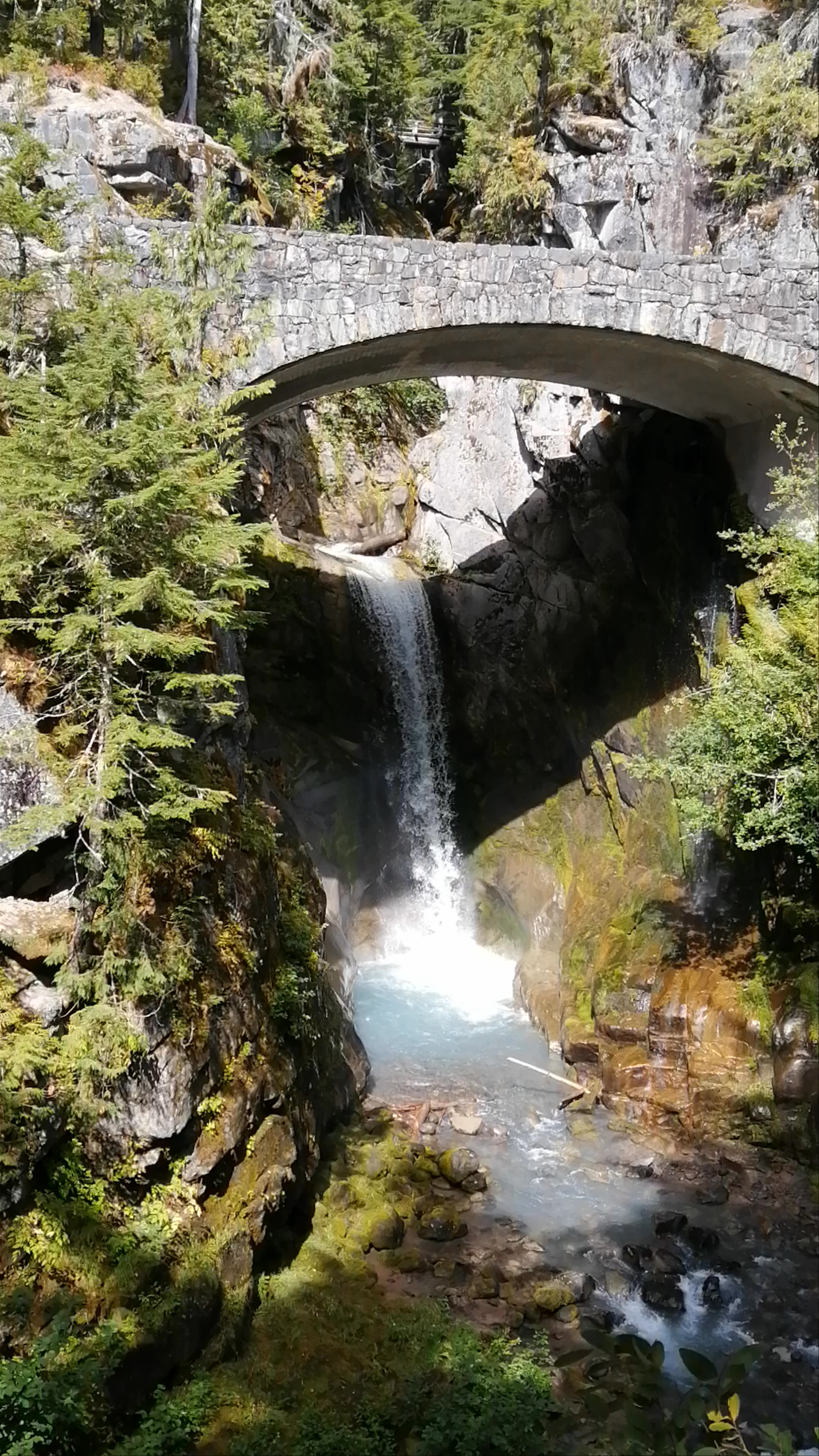 Mt Rainier National Park