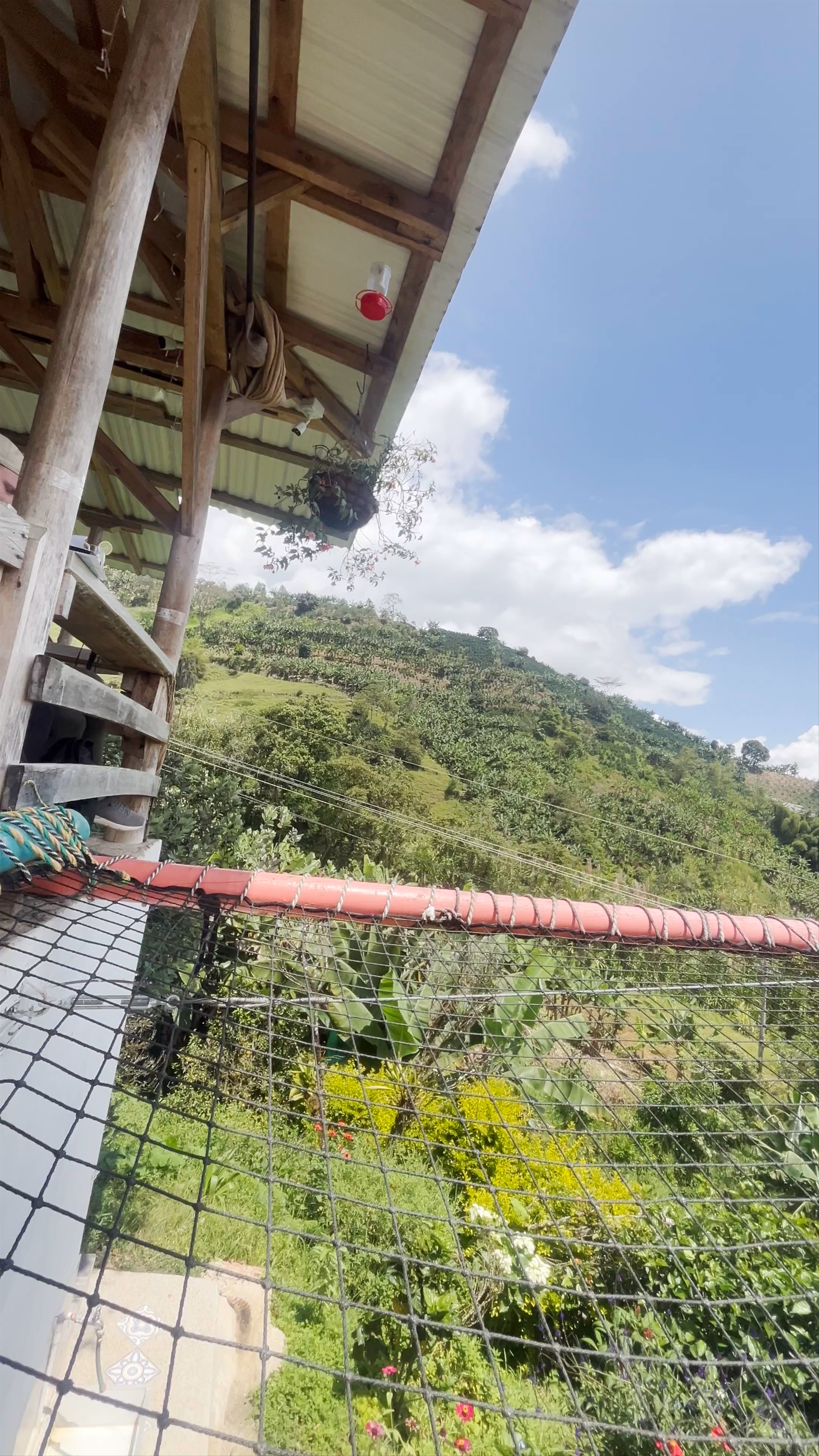 Relaxing in Nature at Mirador la Herrerita, Jardín, Colombia