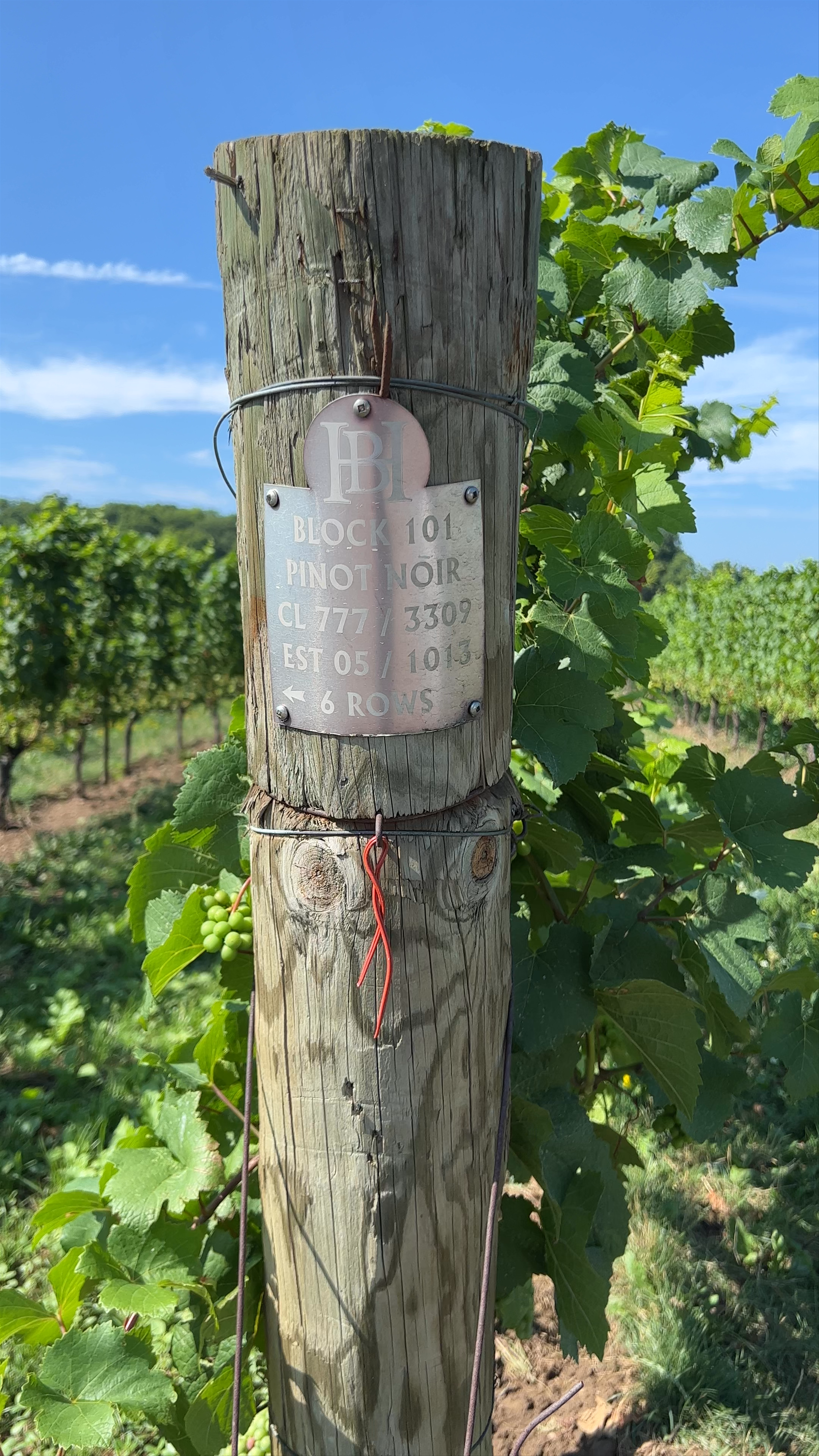 Hidden Bench Estate Winery