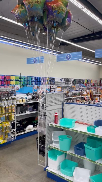 Dollar Tree - Mini drone shot - Discount Store Near Me - Los Angeles, California