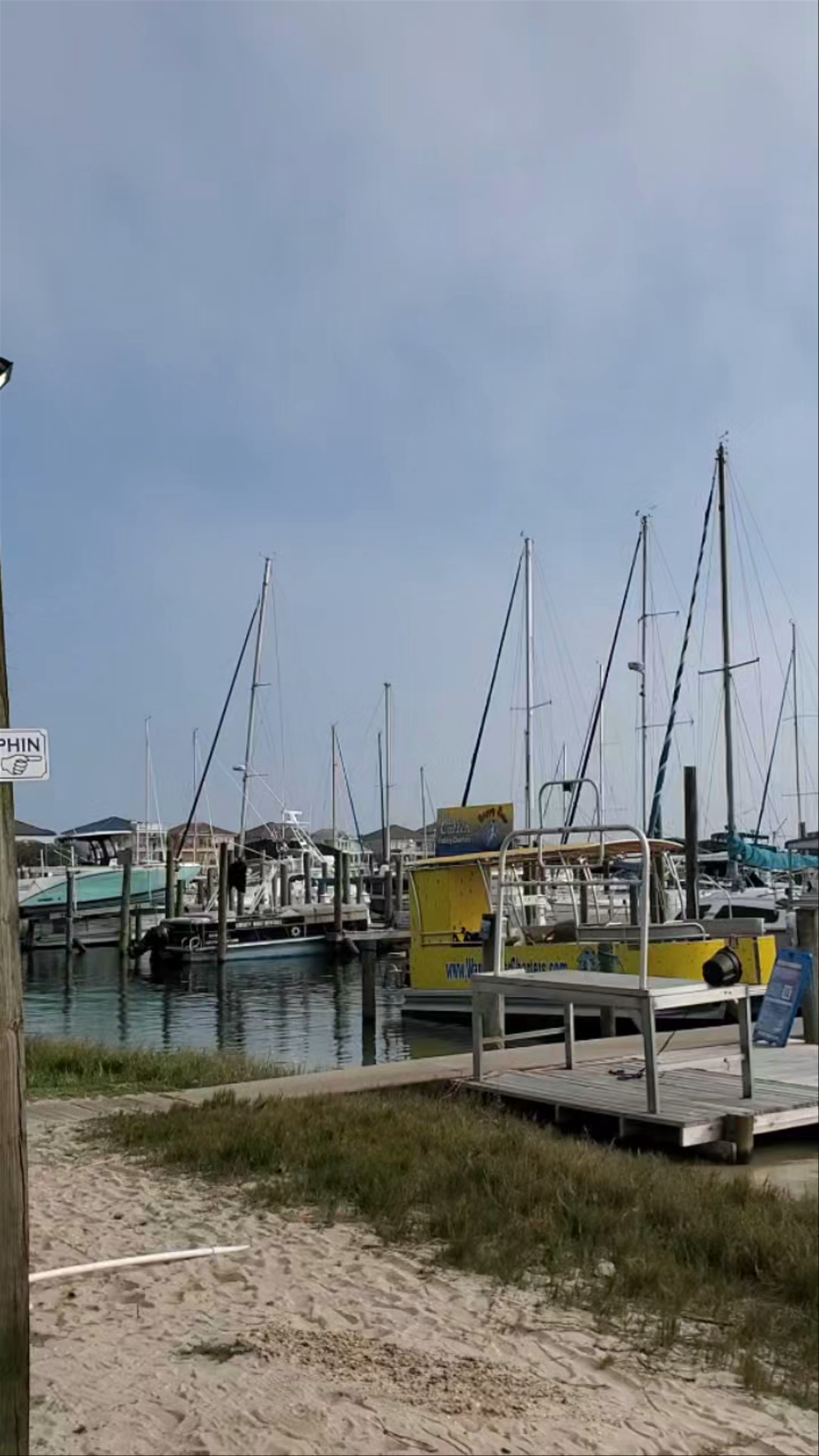 Frisky Mermaid Dolphin Cruises & Pontoon Boat Rentals