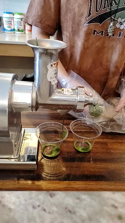 Press Juice Bar - Making a wheat grass shot!!! - Juice Bars & Smoothies Near Me - Norwell, Massachusetts