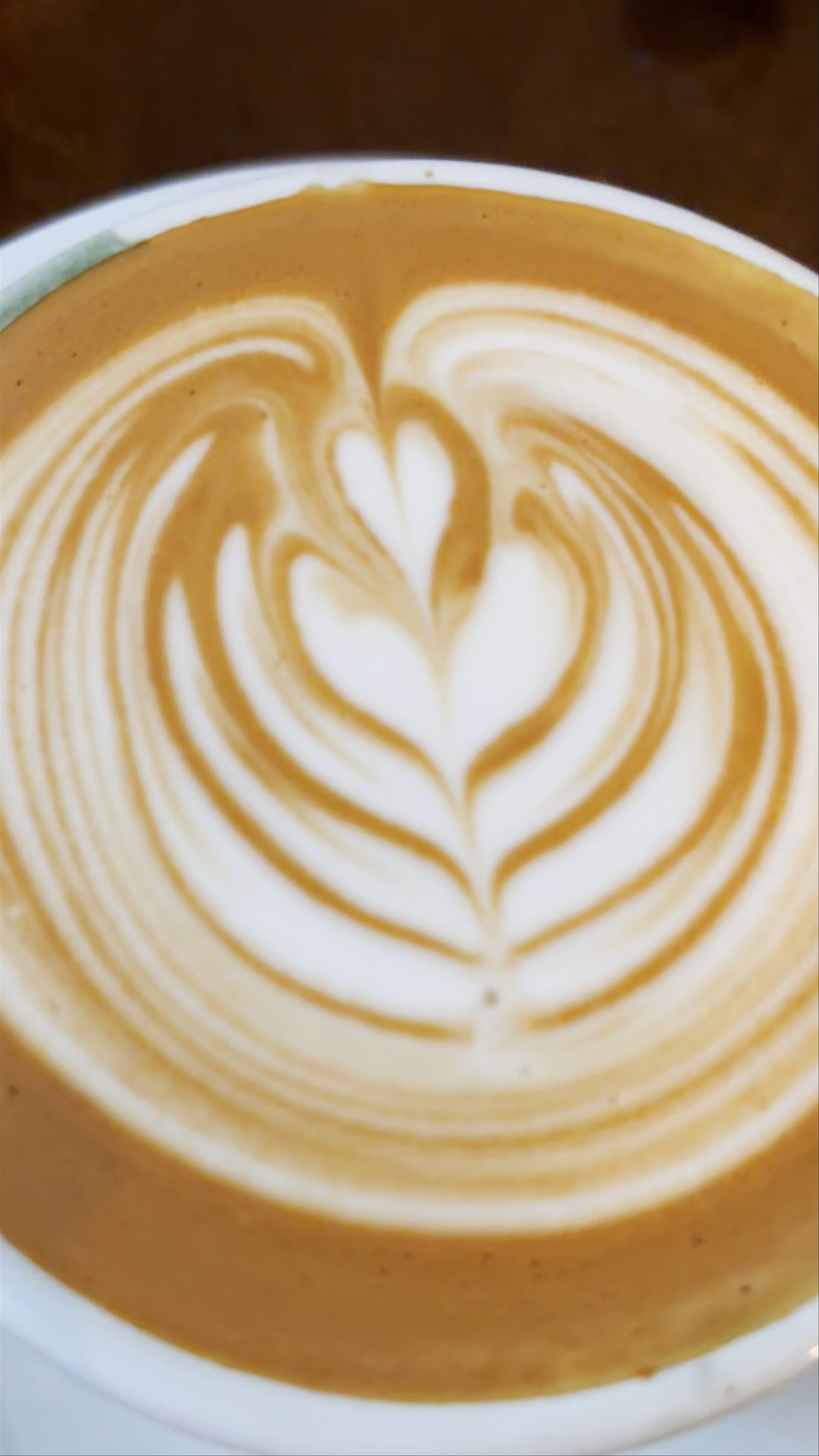 Artisan Latte Art at House of Wheat, Kuala Lumpur