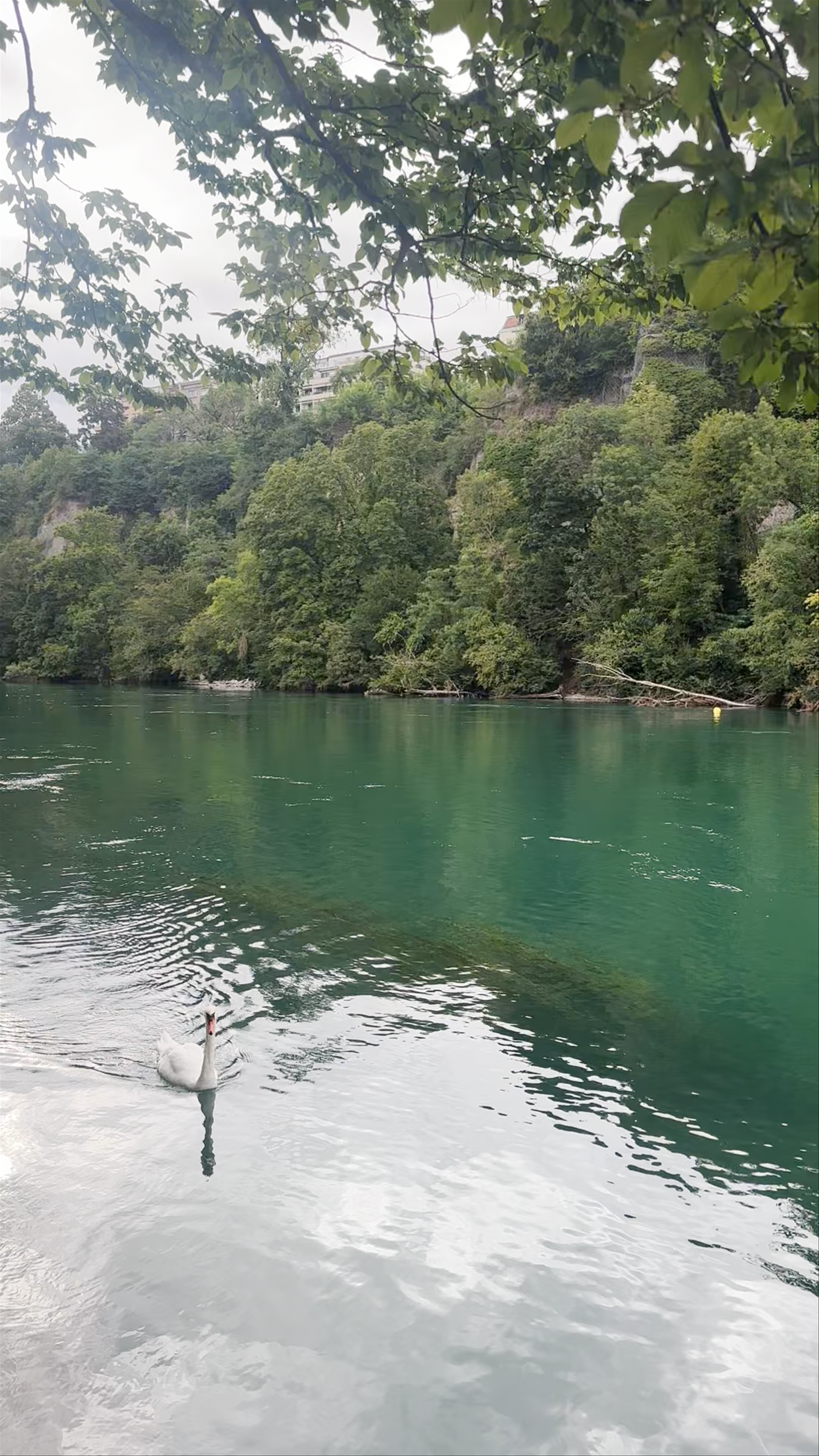 Plage du Rhône