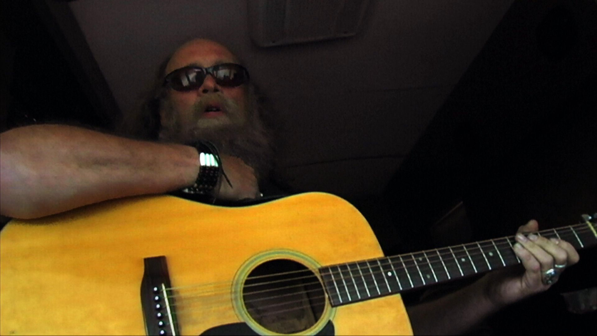 A bearded man wearing sunglasses performs on an acoustic guitar while sitting in the driver's cab of a moving vehicle. He rhythmically strums the instrument while traveling through a forested landscape.