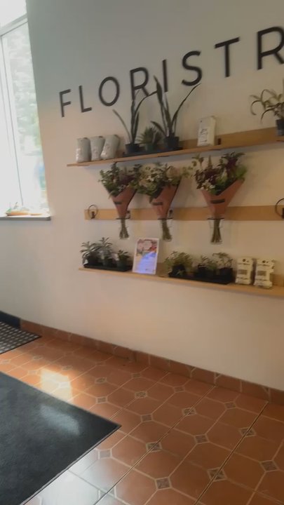 Botanist Coffeehouse - Coffee & Tea Near Me - Ithaca, New York