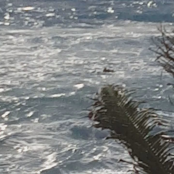 Video thumbnail 2 more videos