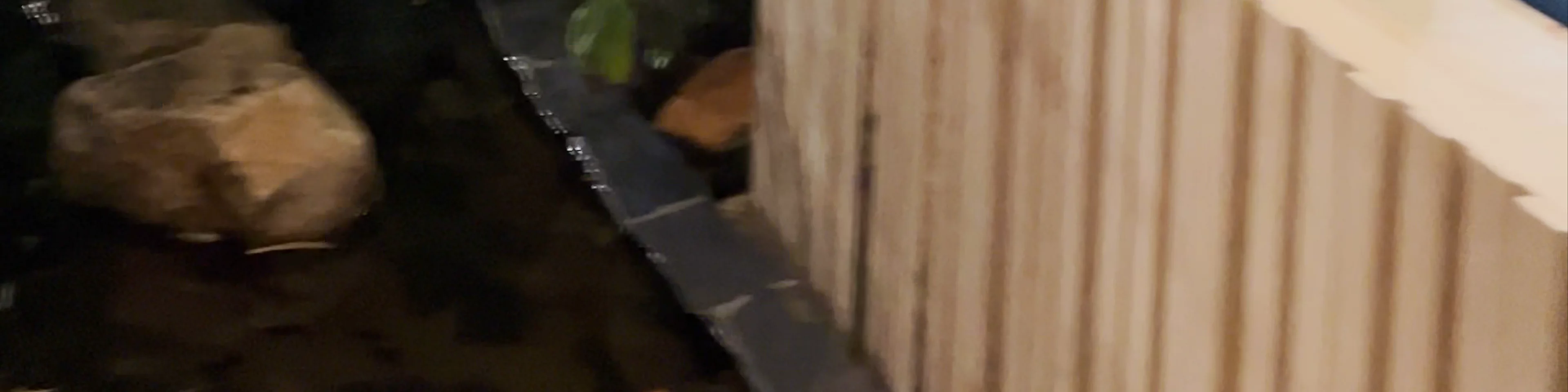 Maimorn Forest