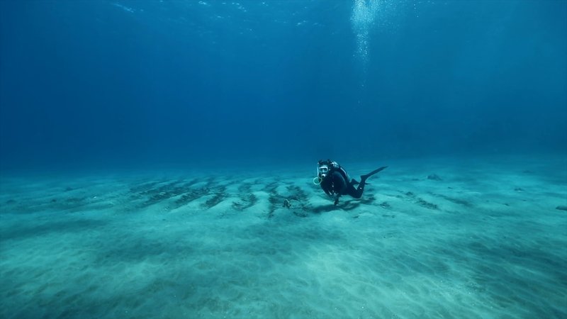 Scuba Diver poster