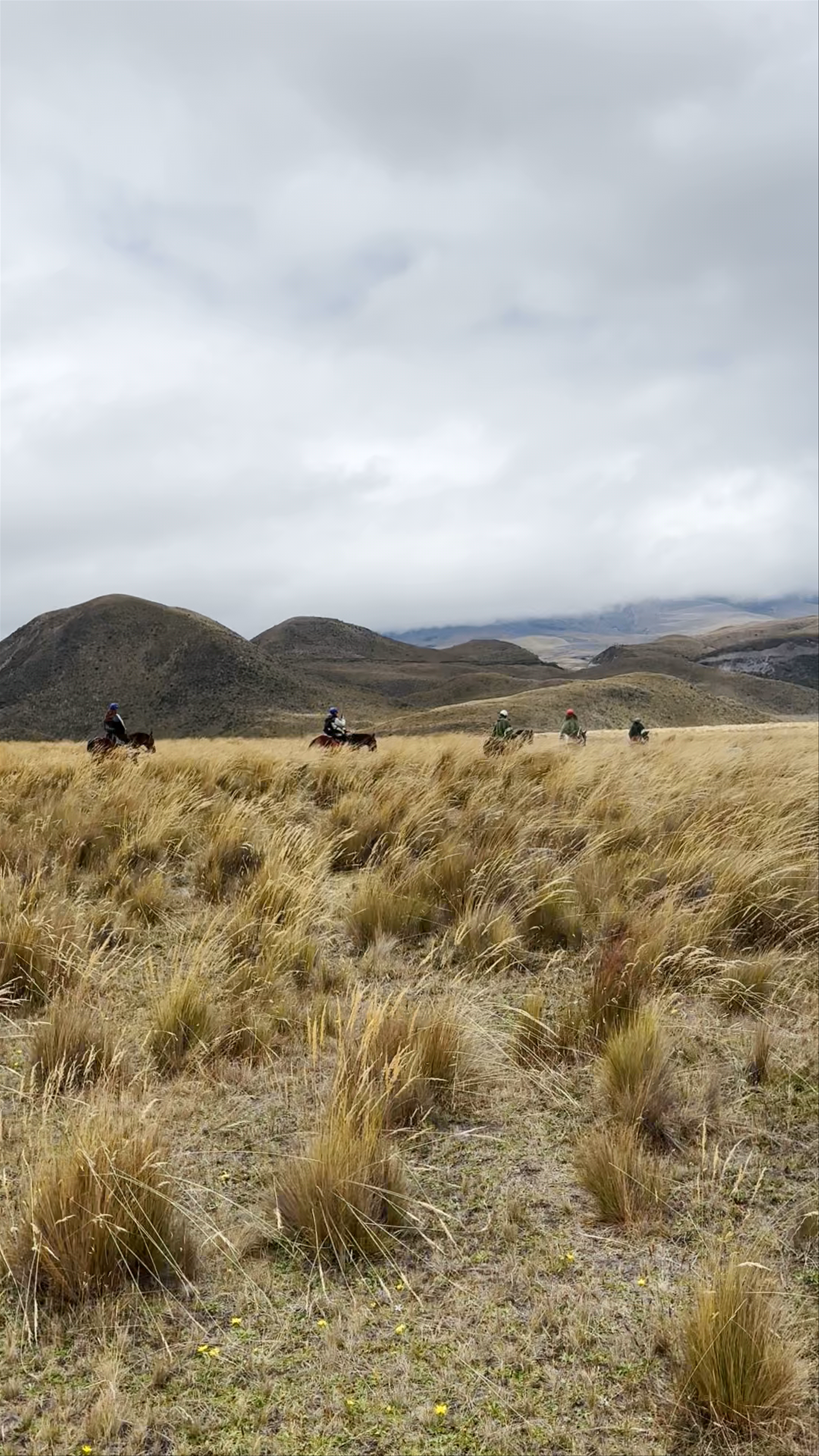 Horseback Riding Through Cotopaxi National Park's Stunning Highland Plains