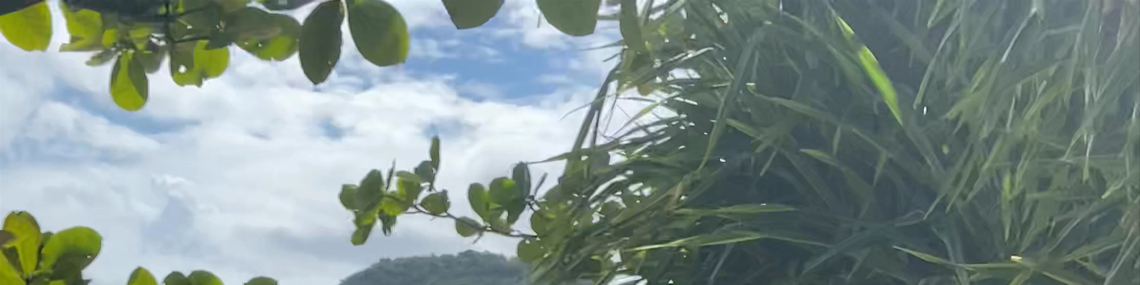 Calhetas Beach - Loteamento Aguas Compridas