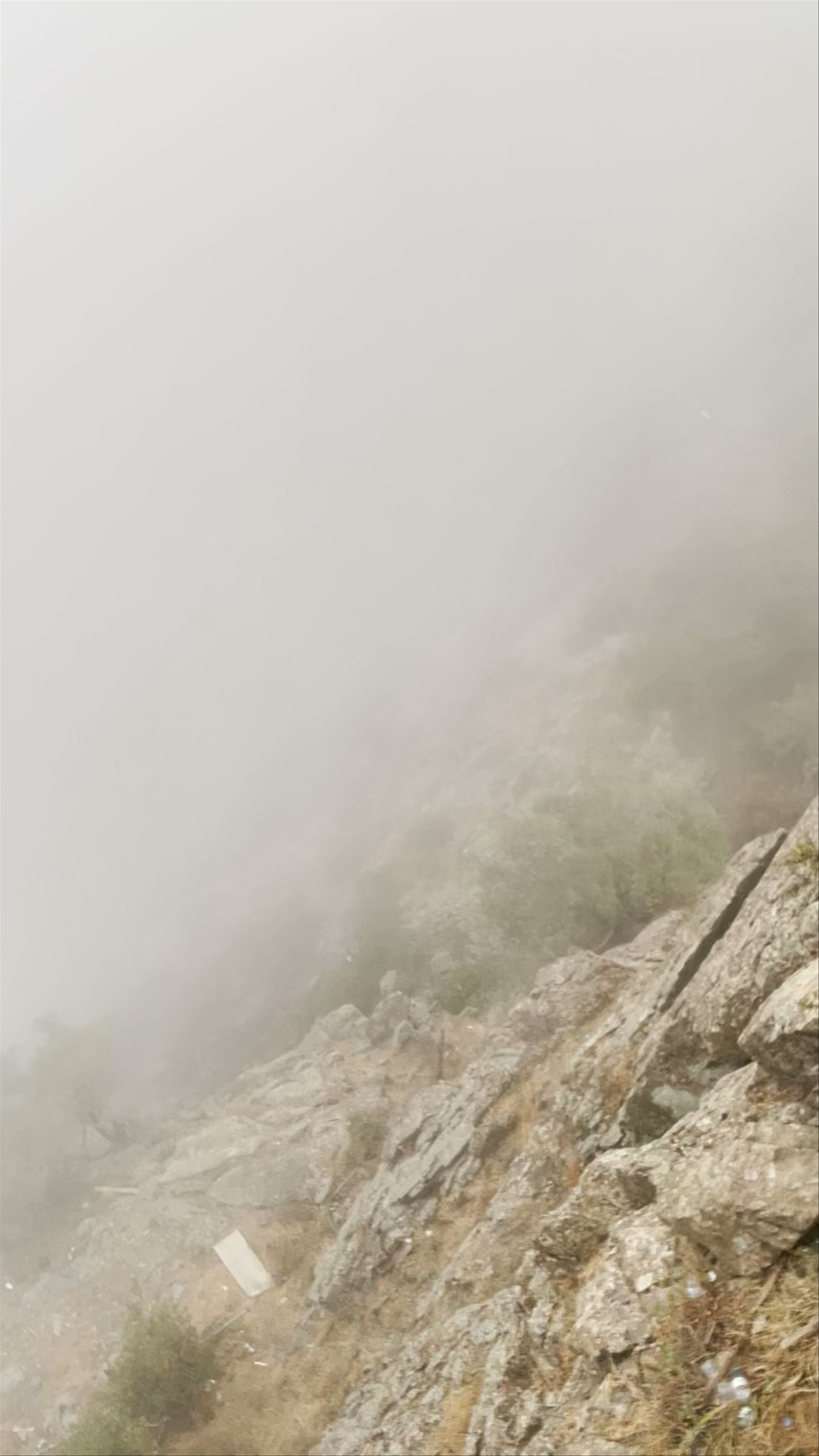 Prince Hassam Park Albaha