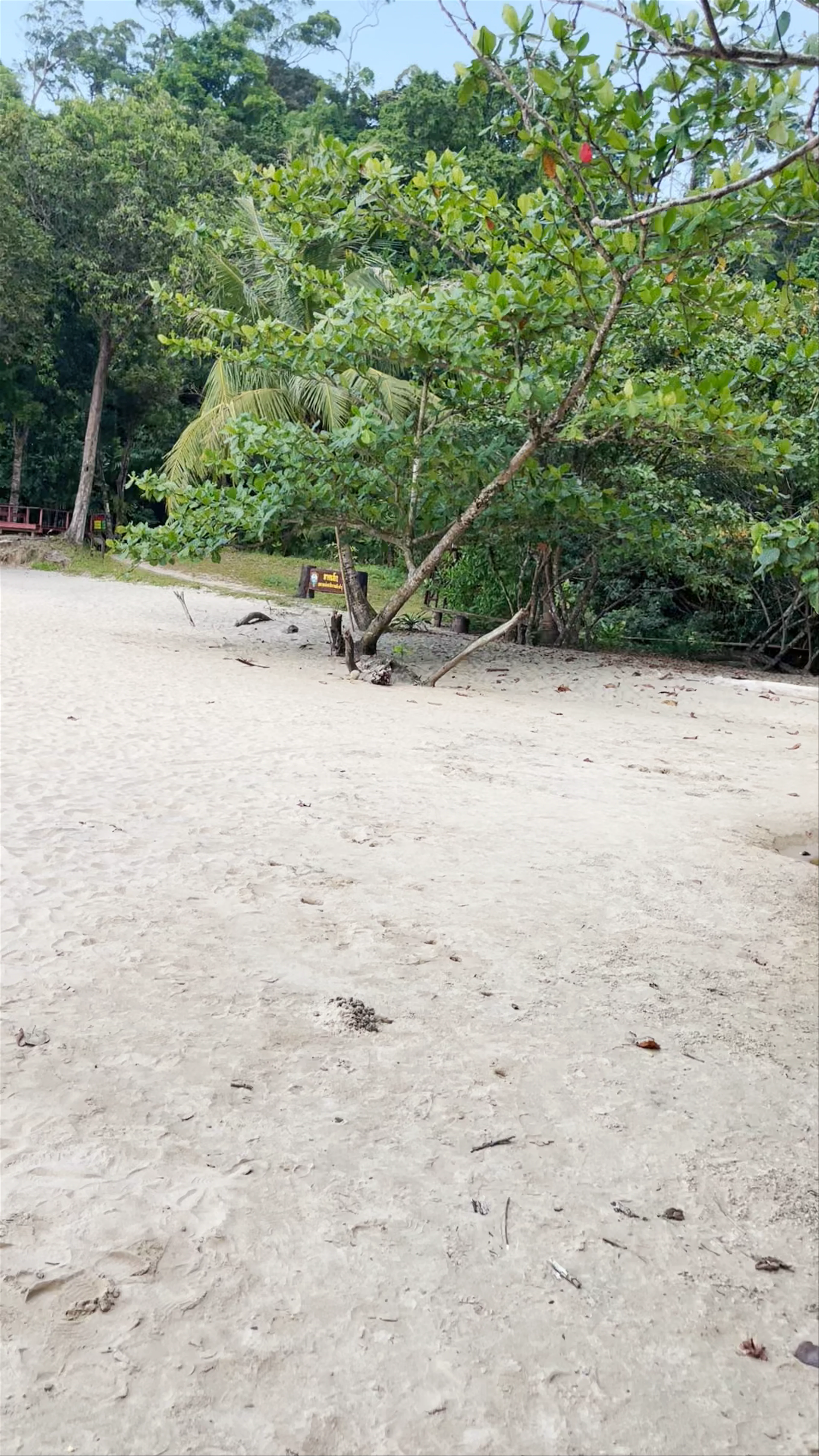 Small Sandy Beach