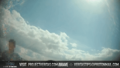 Video Thumbnail Loop