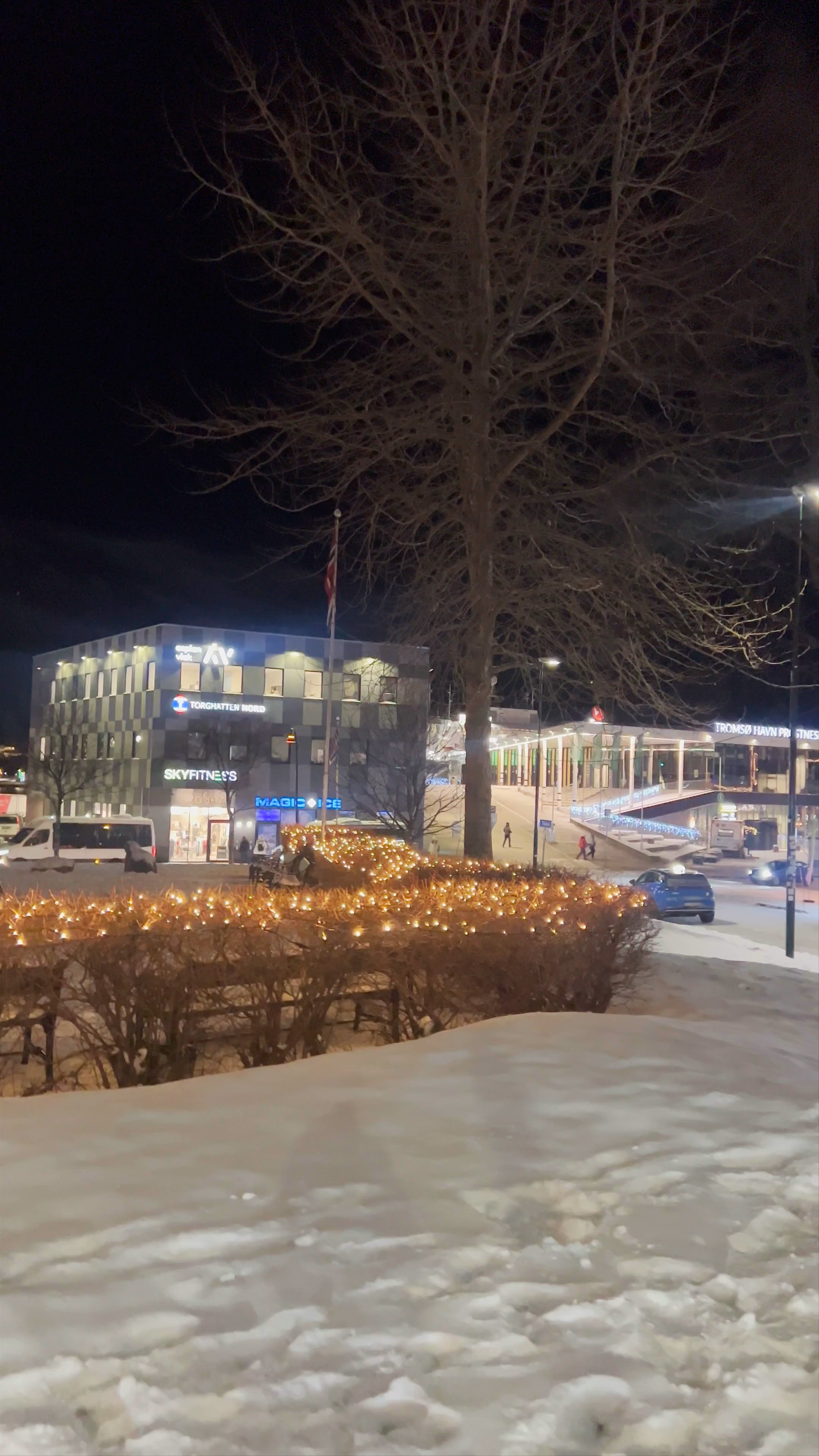 Roald Amundsen Monument: Night Lights in Tromsø, Norway