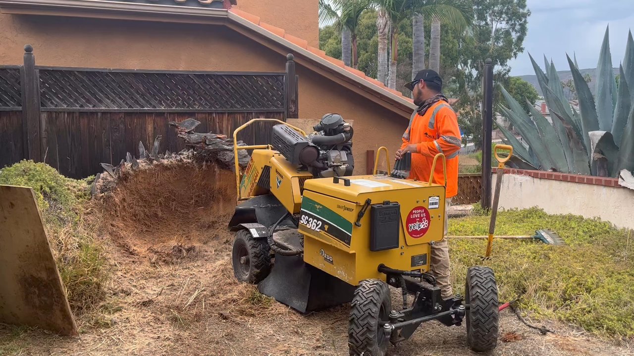 Joel's Tree Service - Tree Services Near Me