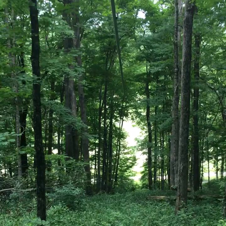 Lark Valley Zip Lines - Hiking Near Me - Shoals, Indiana