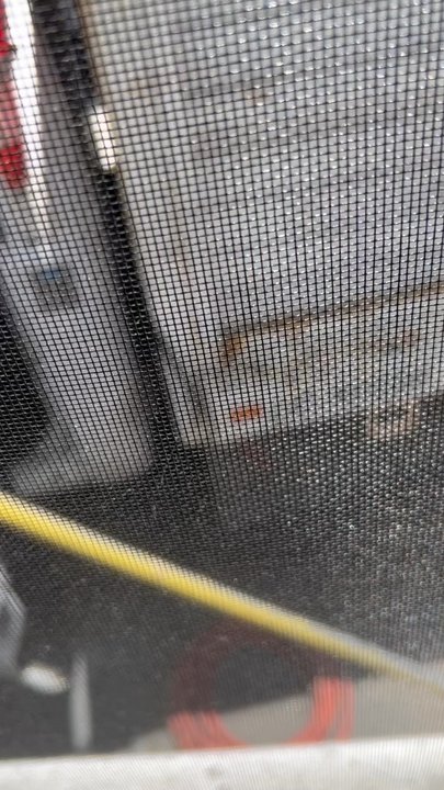 Consumer Services Roofing - There is clearly no water hoses or any other wet spot and he had his pants down. - Roofing Near Me - Tustin, California