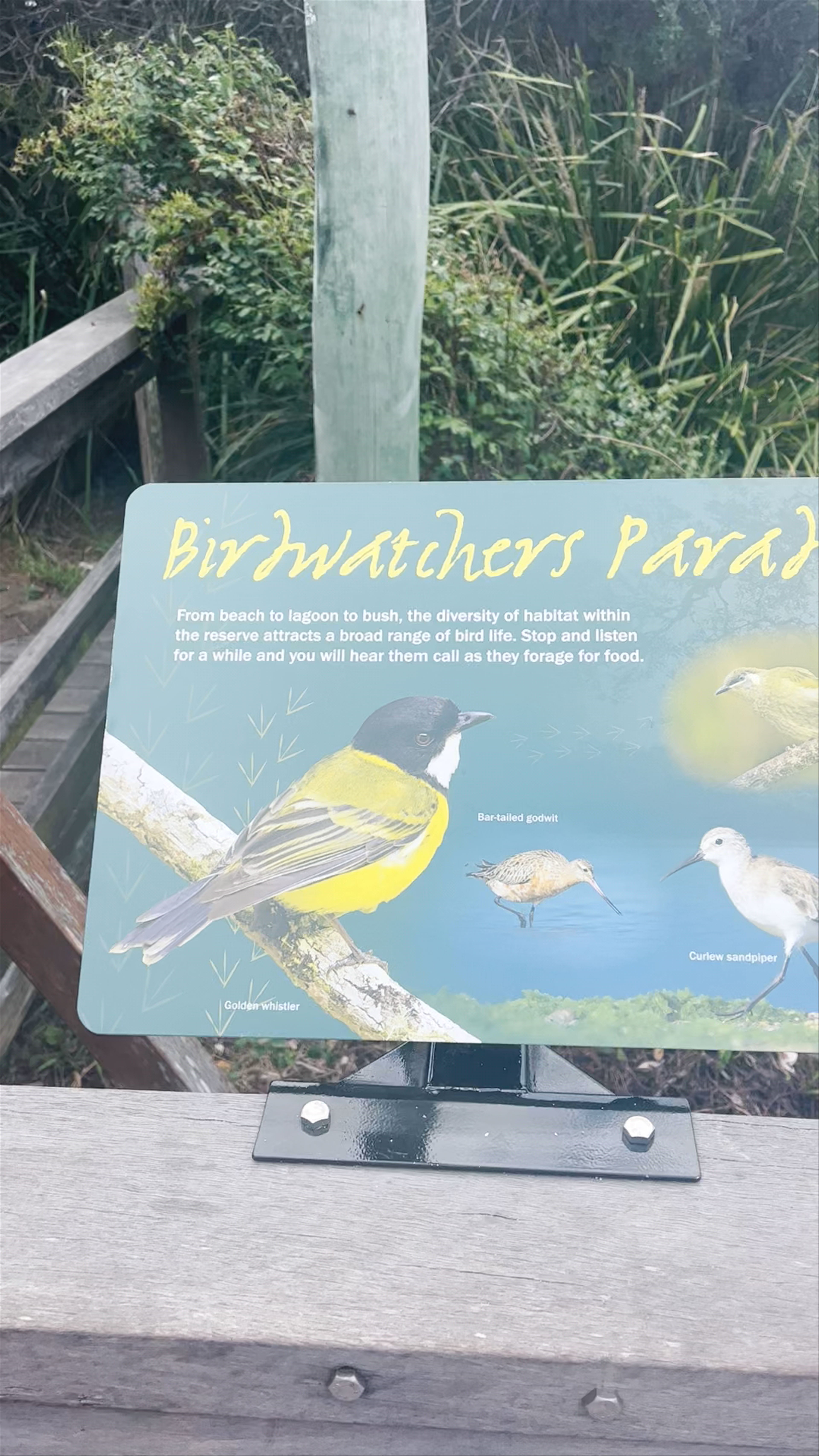 Wamberal Lagoon Nature Reserve