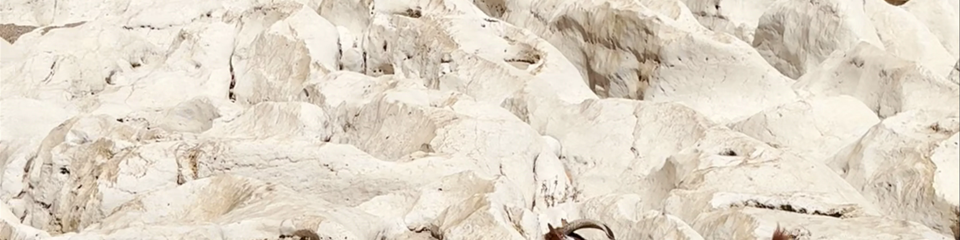 كالسيان كانيون Kalysan Canyon، Kalleesa