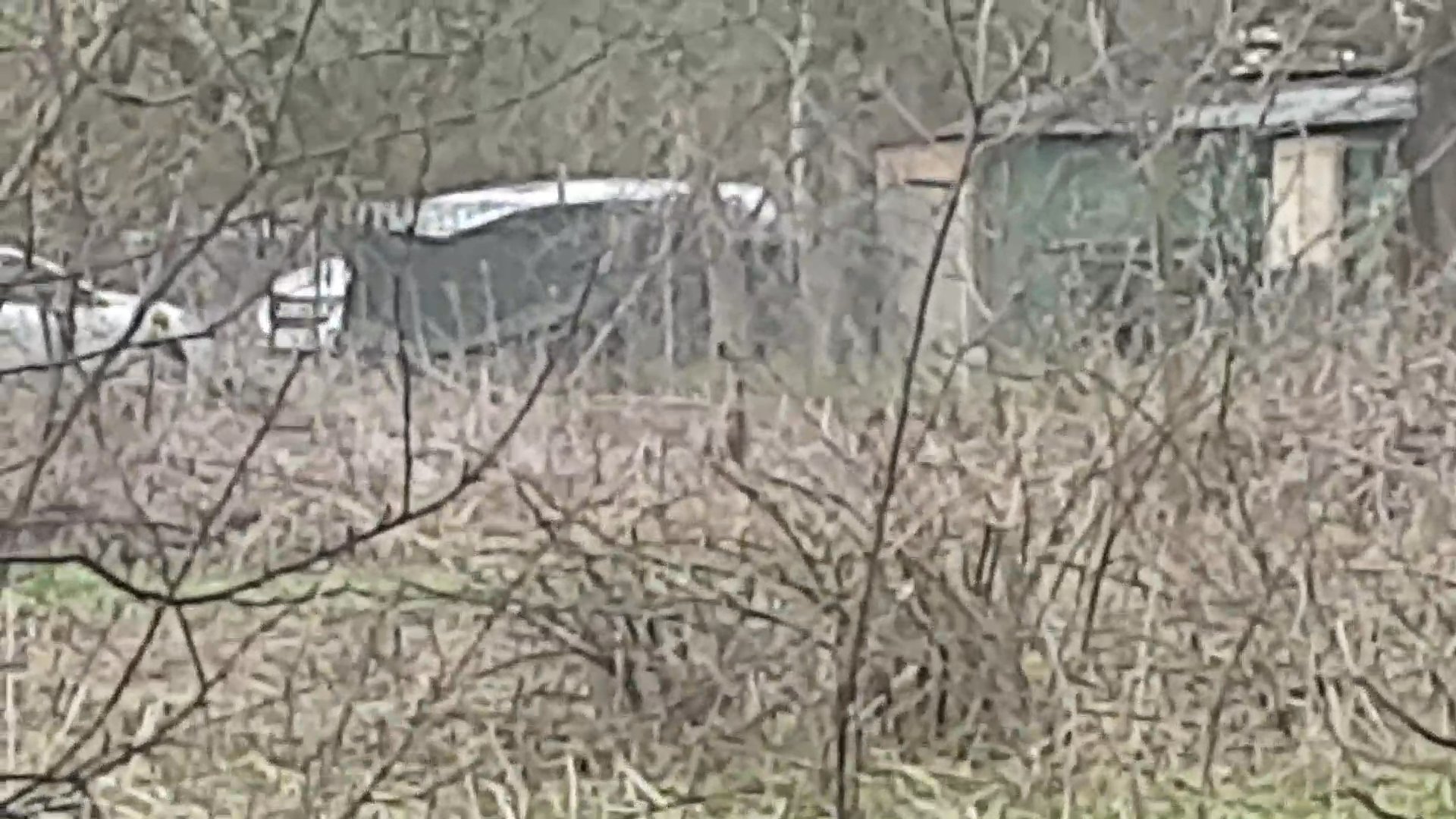 Walk the dogo - Figa R.'s 4.0 km walk