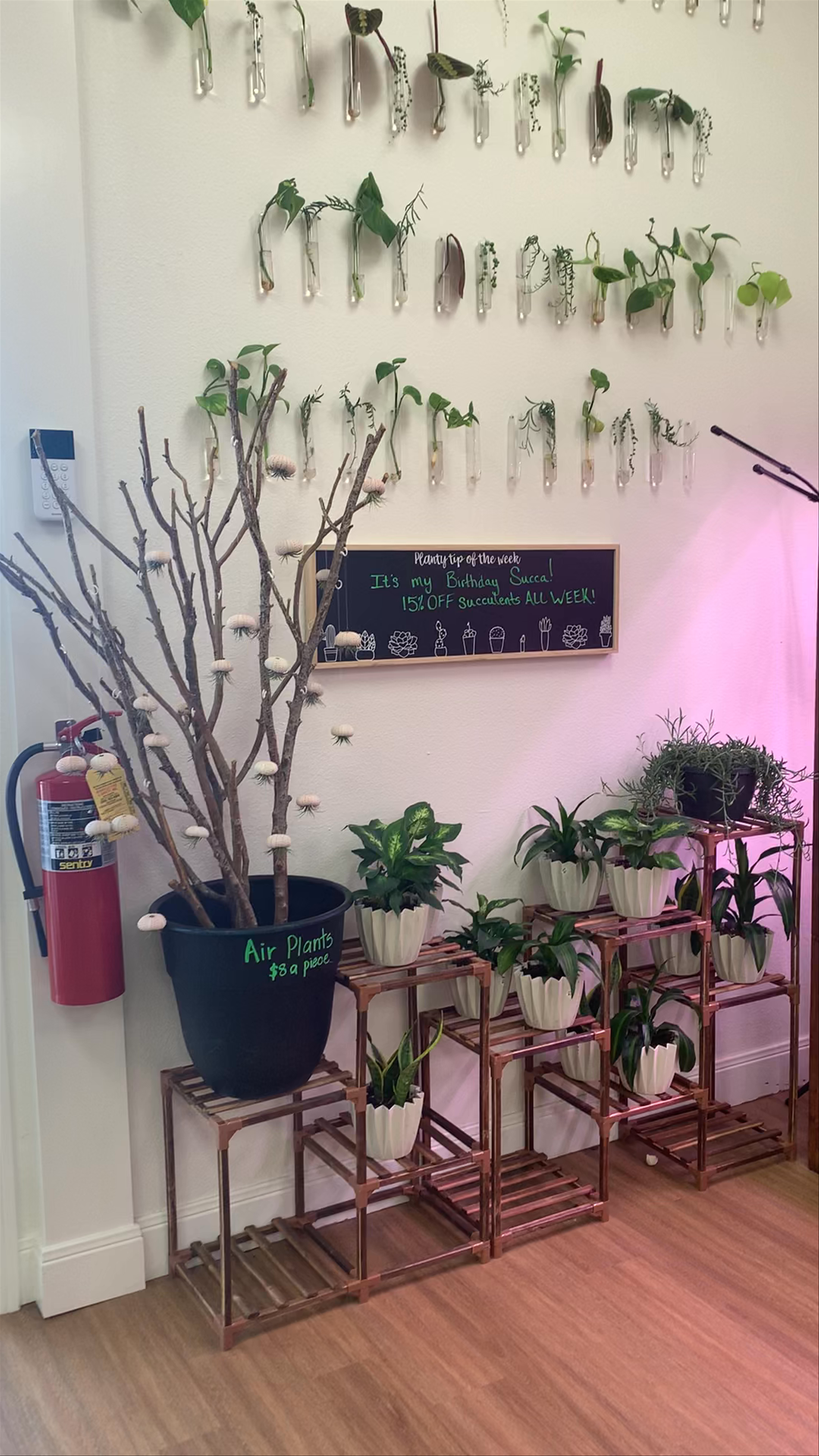 Leaf & Bubble Tea Shop