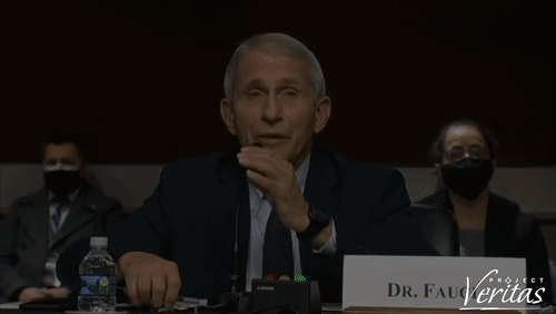 Video Thumbnail Loop