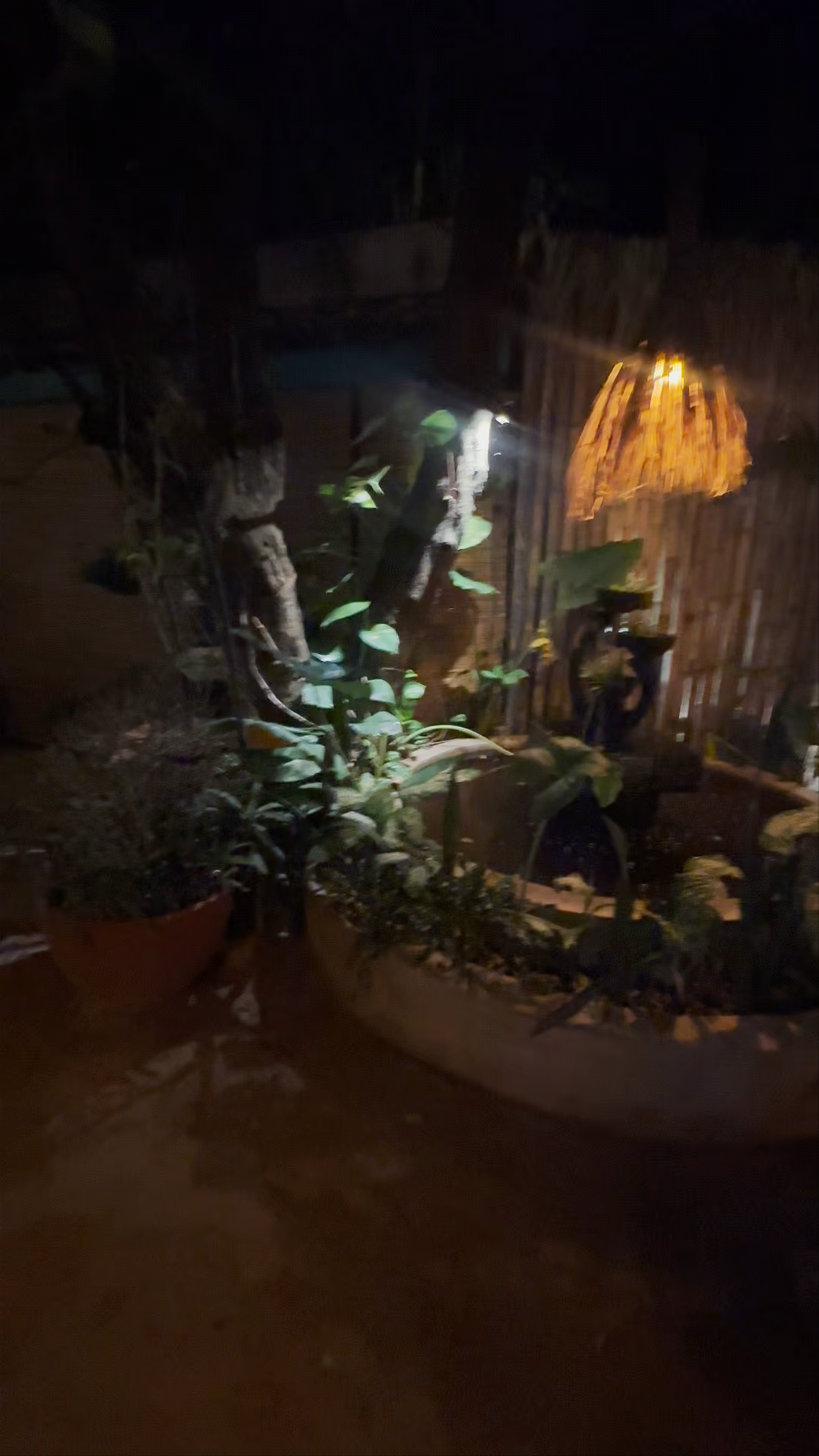 Zouk Mirissa: Serene Tropical Nighttime Escape in Mirissa, Sri Lanka
