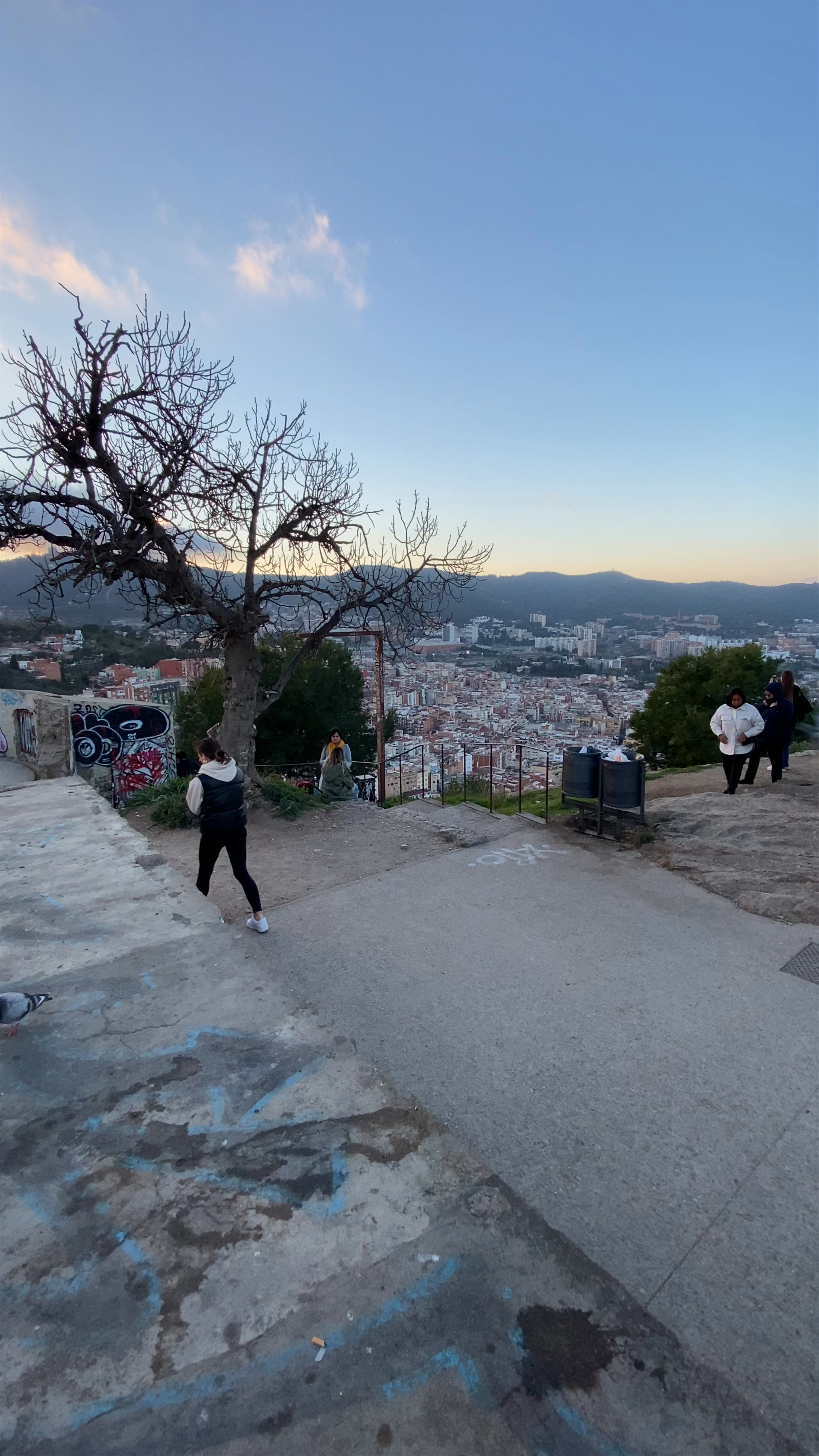 MUHBA Turó de la Rovira (Mirador de les bateries)