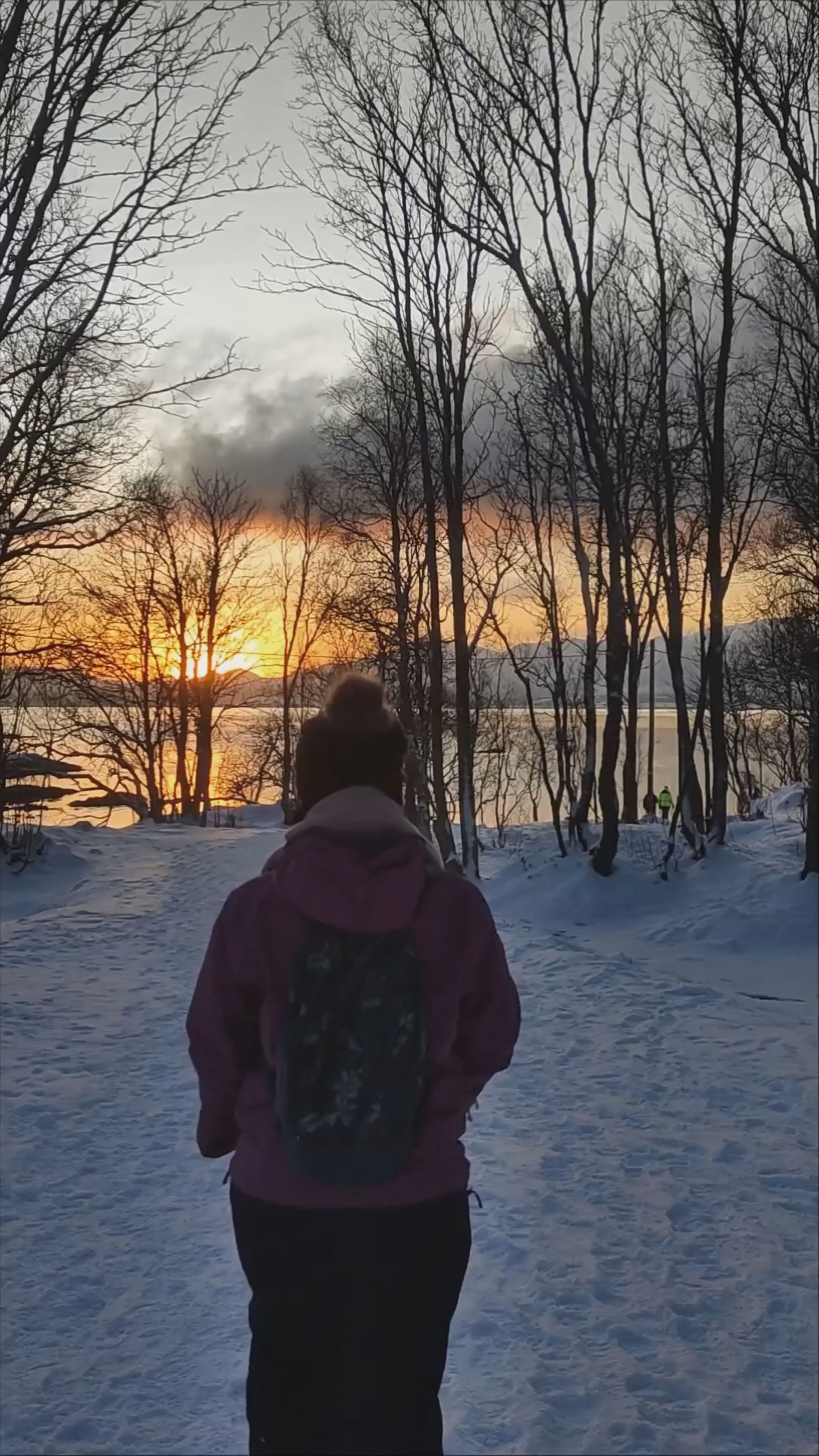 Winter Sunset Walk at Telegrafbukta, Tromsø