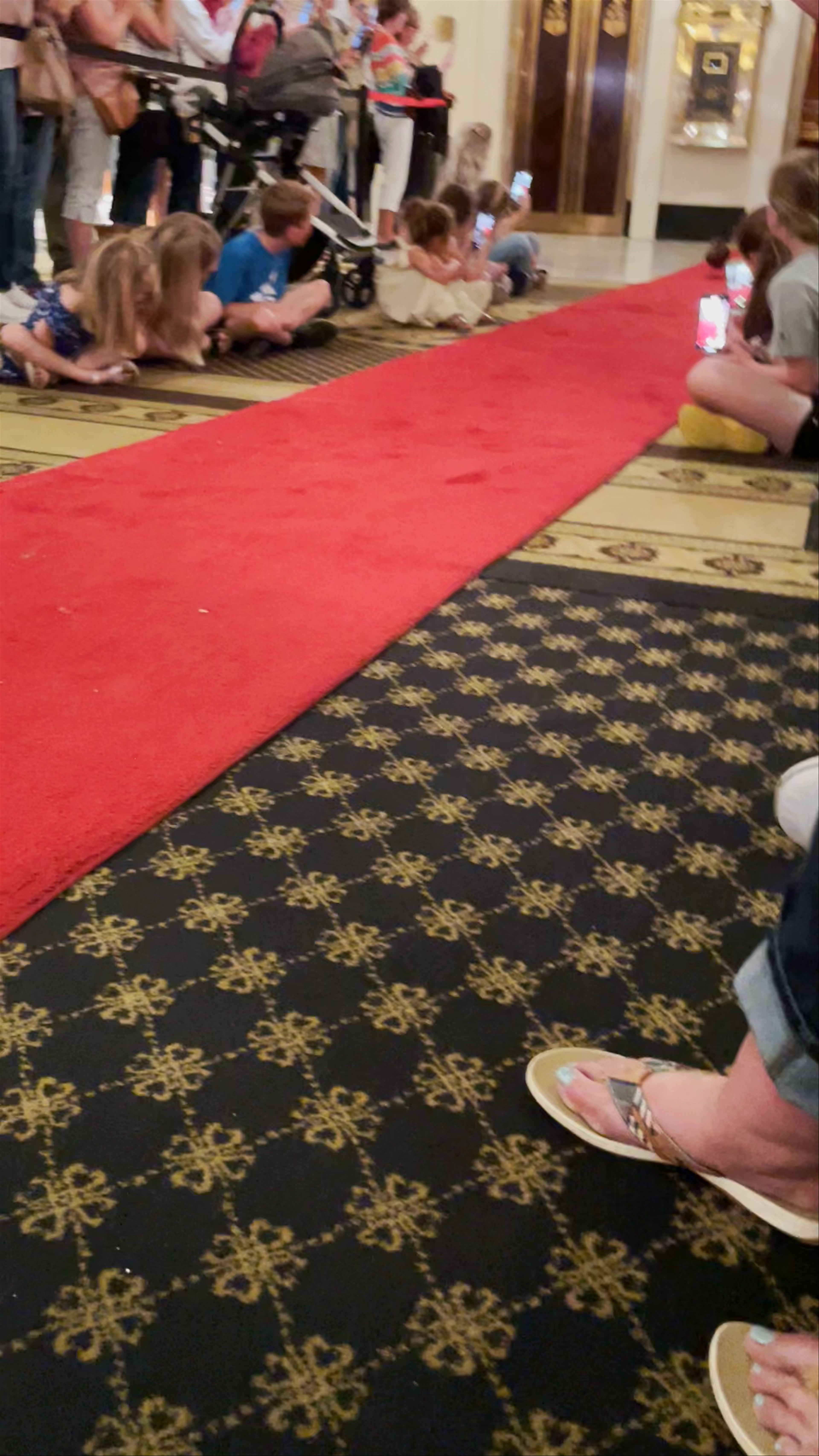 The Famous Peabody Hotel Duck March in Memphis