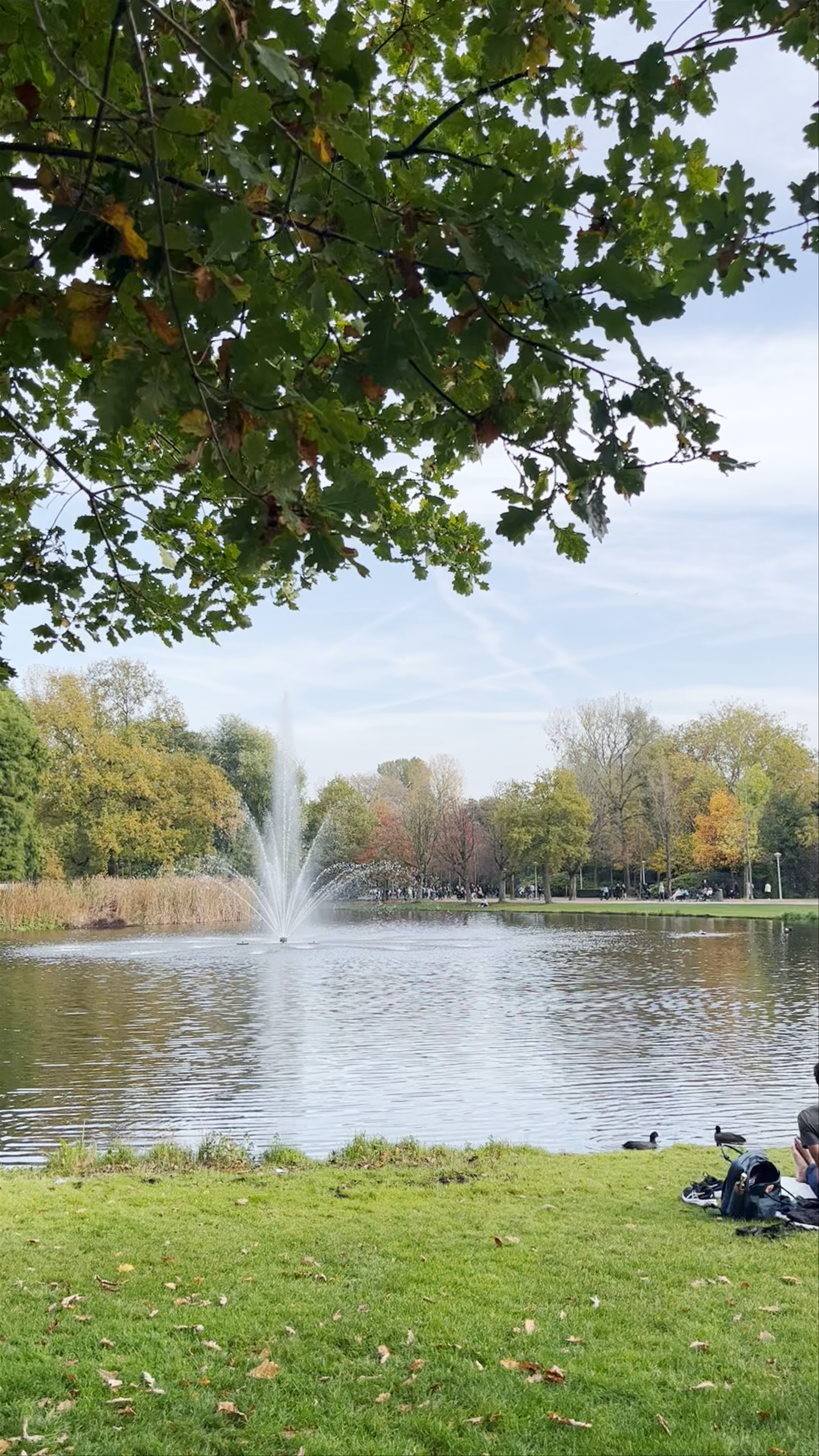 Serene Autumn Afternoon in Vondelpark, Amsterdam