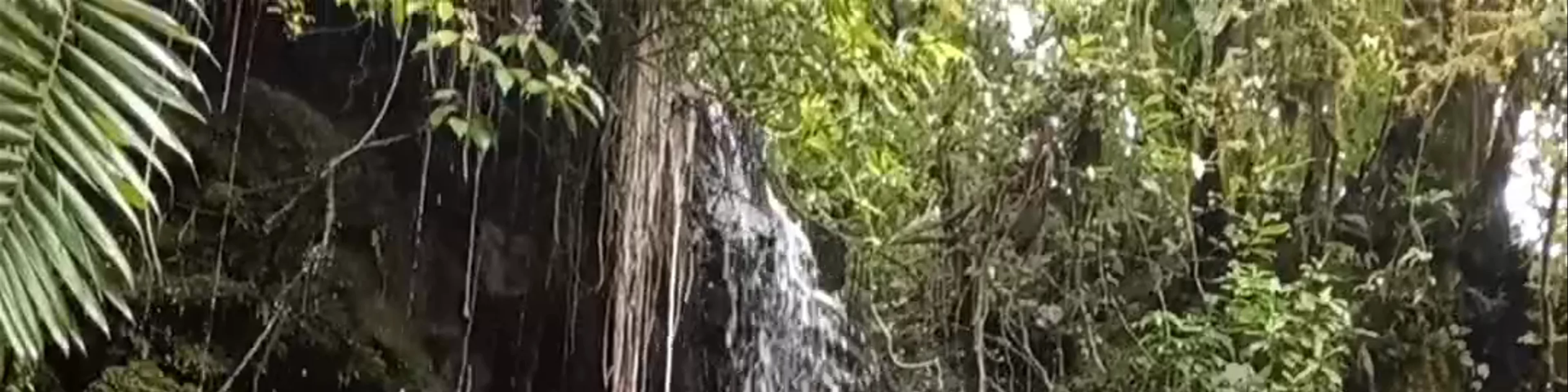 Cataratas Finca Dos Ríos