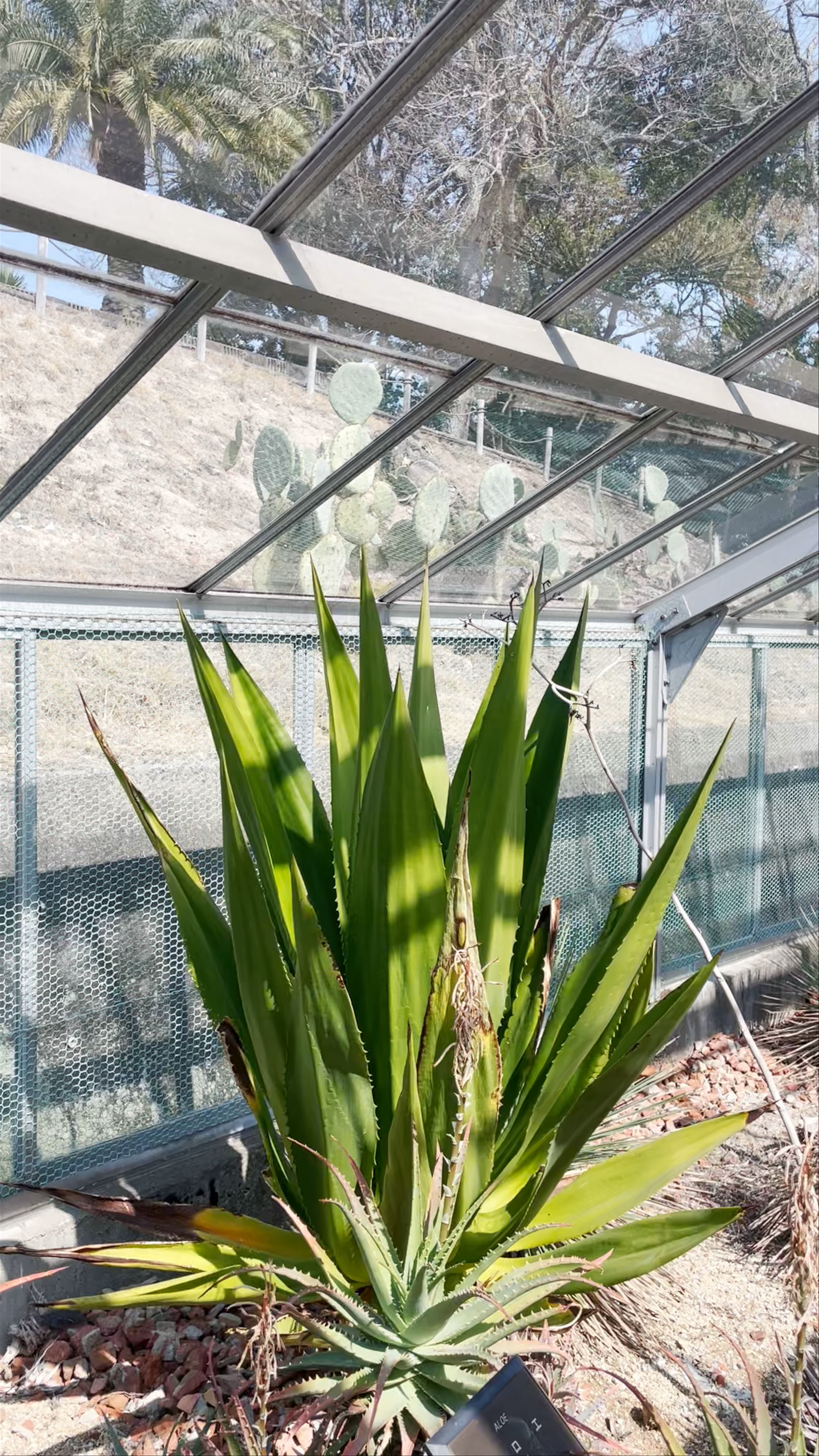 Okayama City Handayama Botanical Gardens