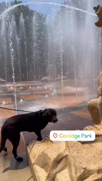 Coolidge Park - Parks Near Me - Chattanooga, Tennessee
