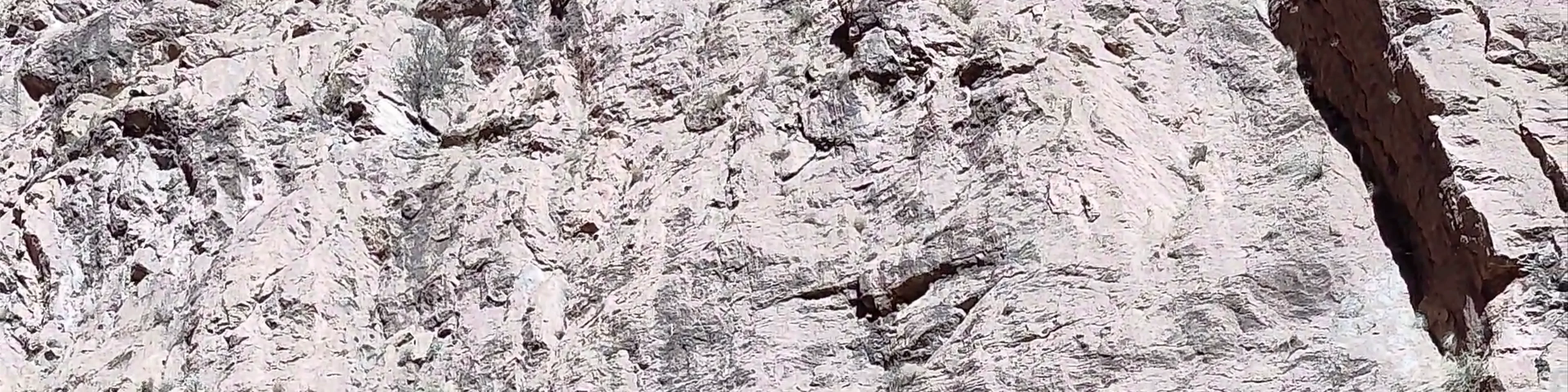 Todra Gorge