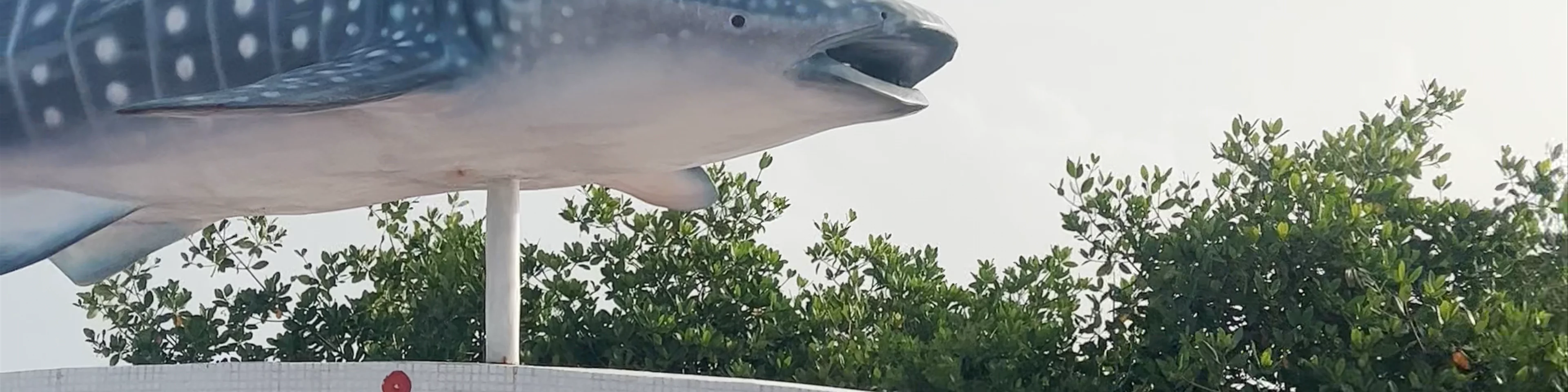 Whale Shark Monument