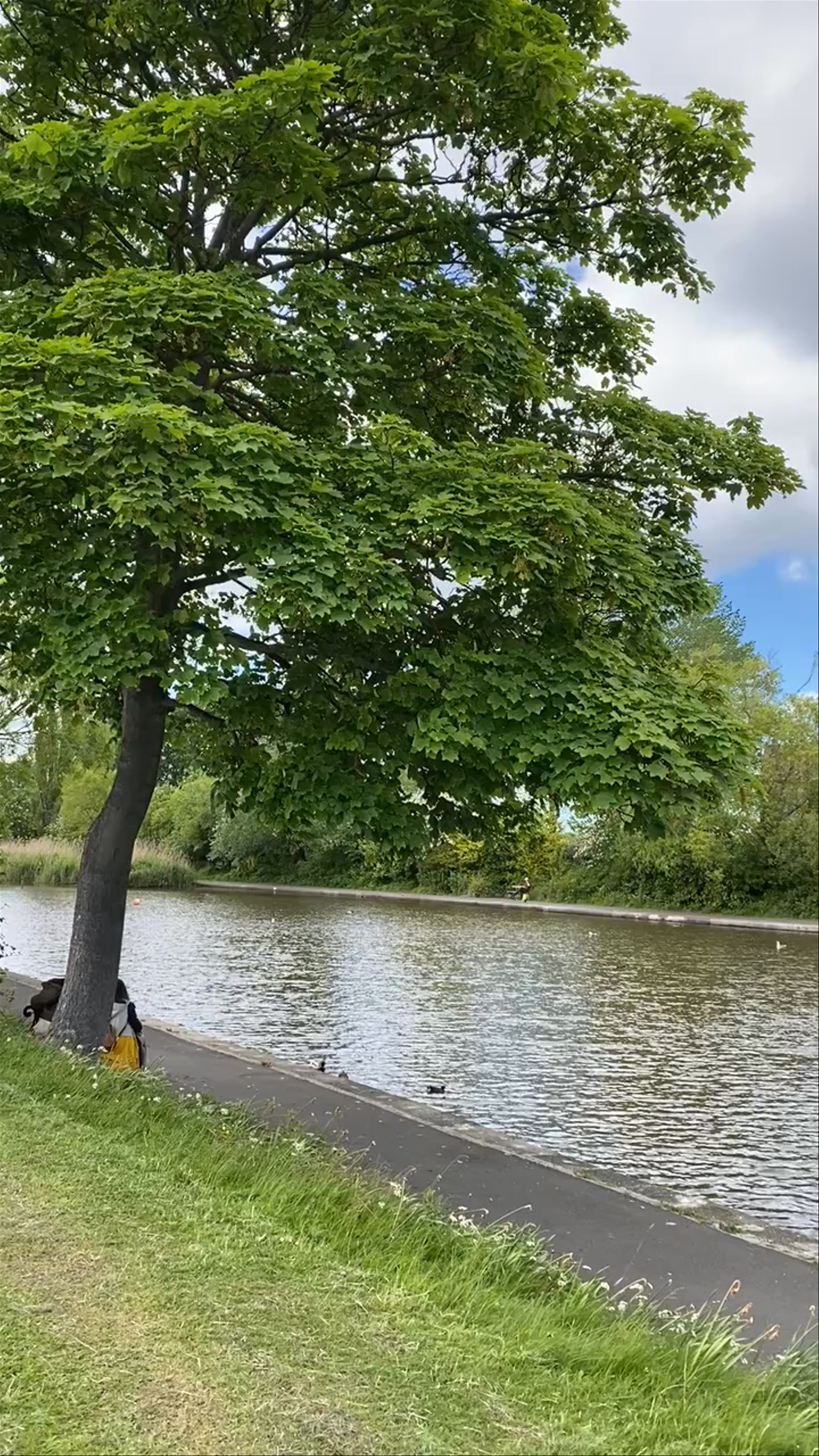 The Town Moor