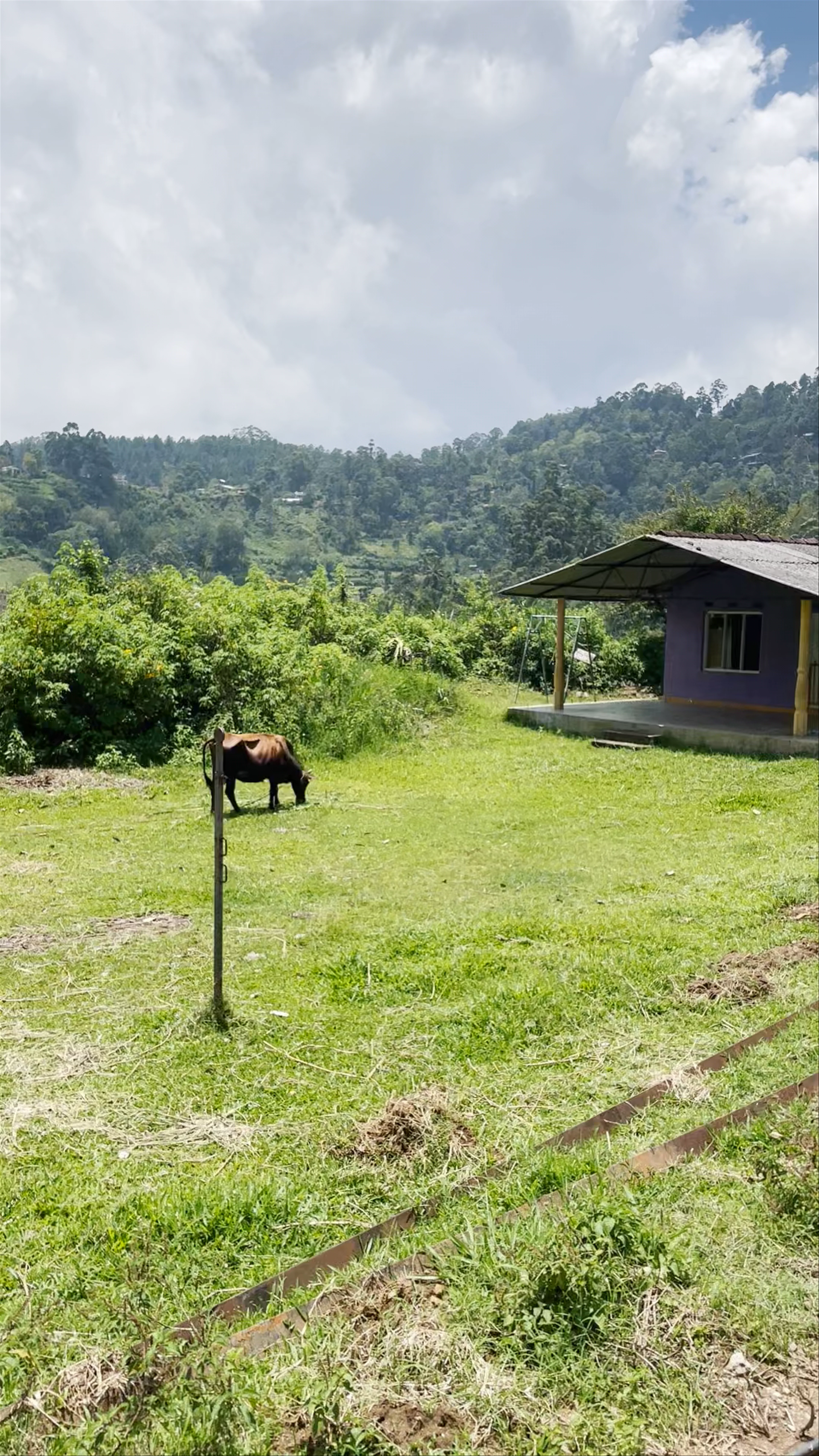 Ella to Kandy Train Route