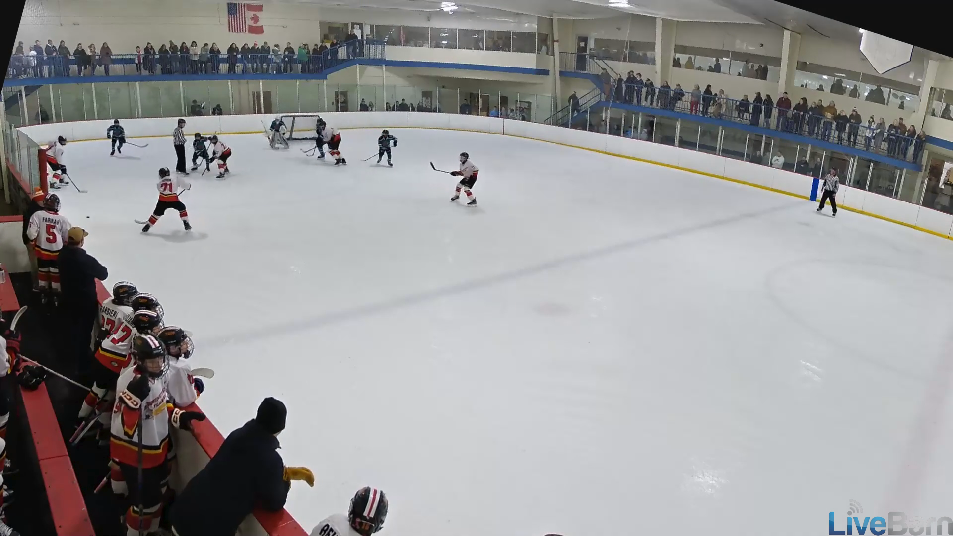 Ben Cannistraro: Put a big D on the PP and watch him score