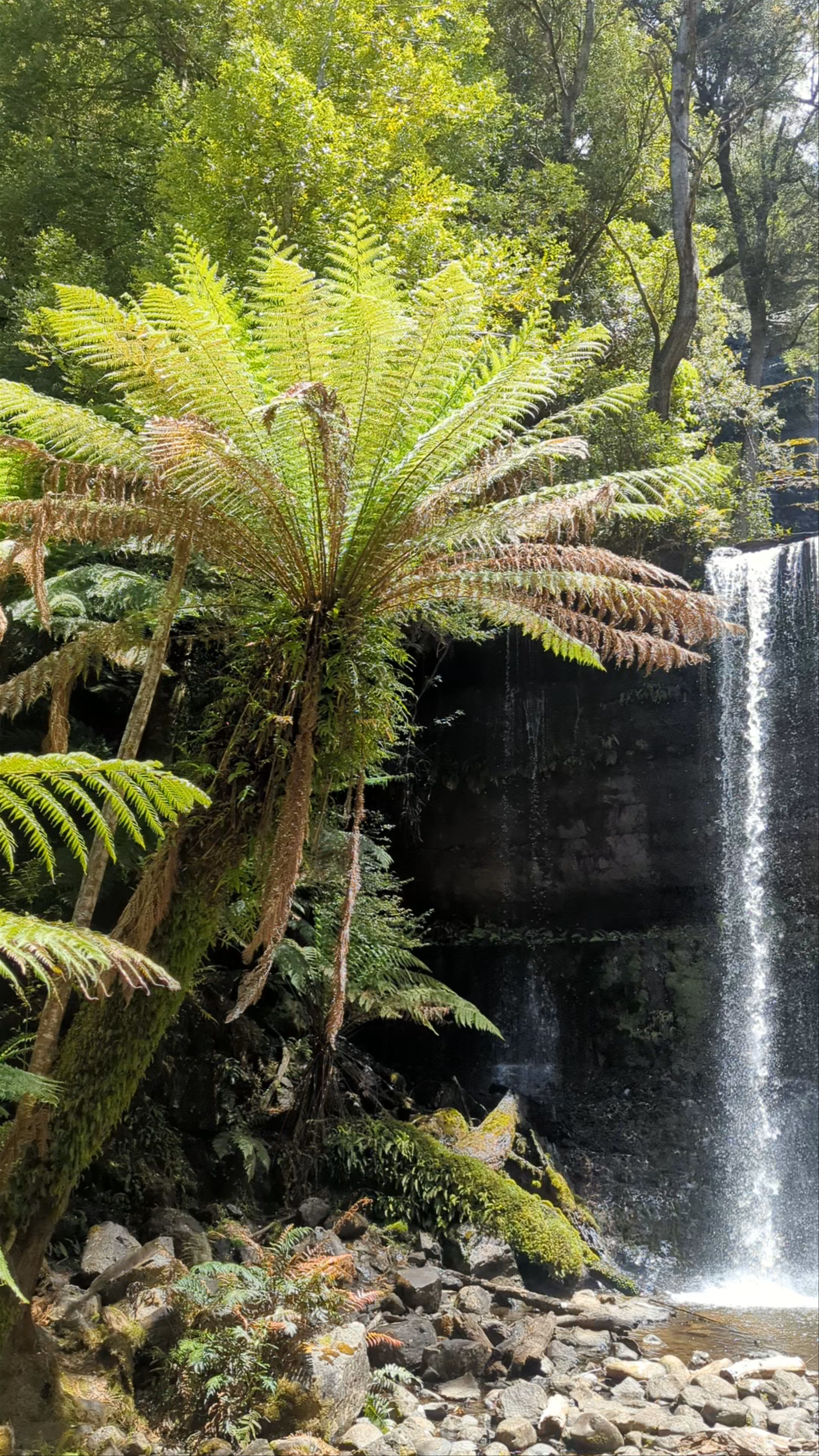 Russell Falls: Majestic Cascades in Tasmania's National Park