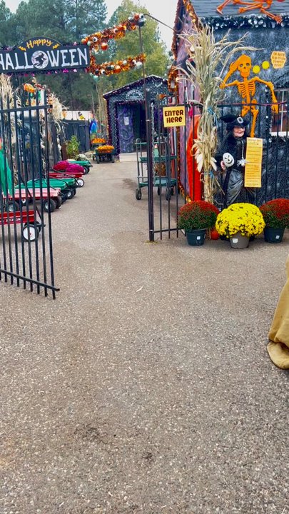Viola's Flower Garden - Nurseries & Gardening Near Me - Flagstaff, Arizona