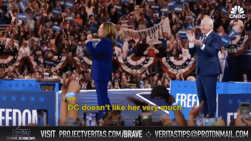 Video Thumbnail Loop