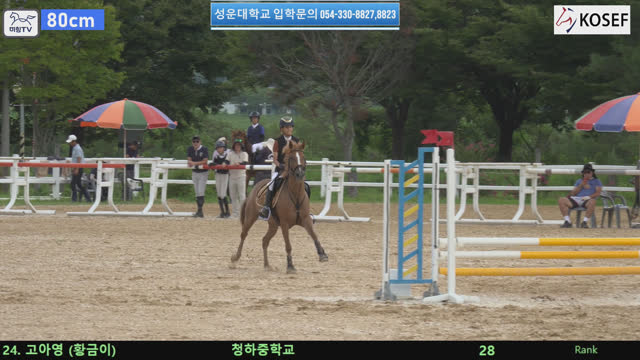 고아영 (황금제왕 (황금이)) — 제55회 전국학생승마선수권대회 兼 제13회 유소년 전국승마대회 · 장애물 80cm
