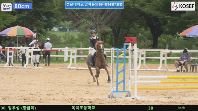 정우성1 (황금제왕 (황금이)) — 제55회 전국학생승마선수권대회 兼 제13회 유소년 전국승마대회 · 장애물 80cm