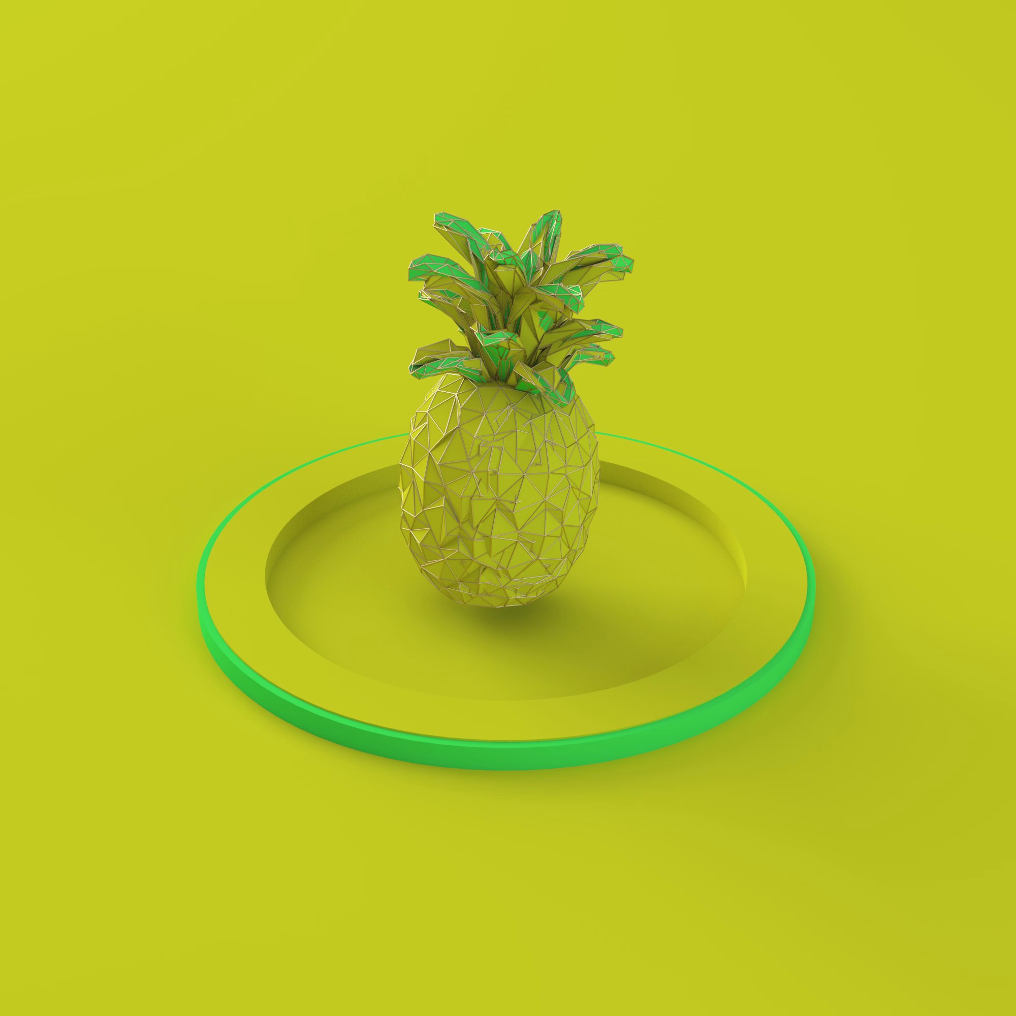 Poly Float Pineapple