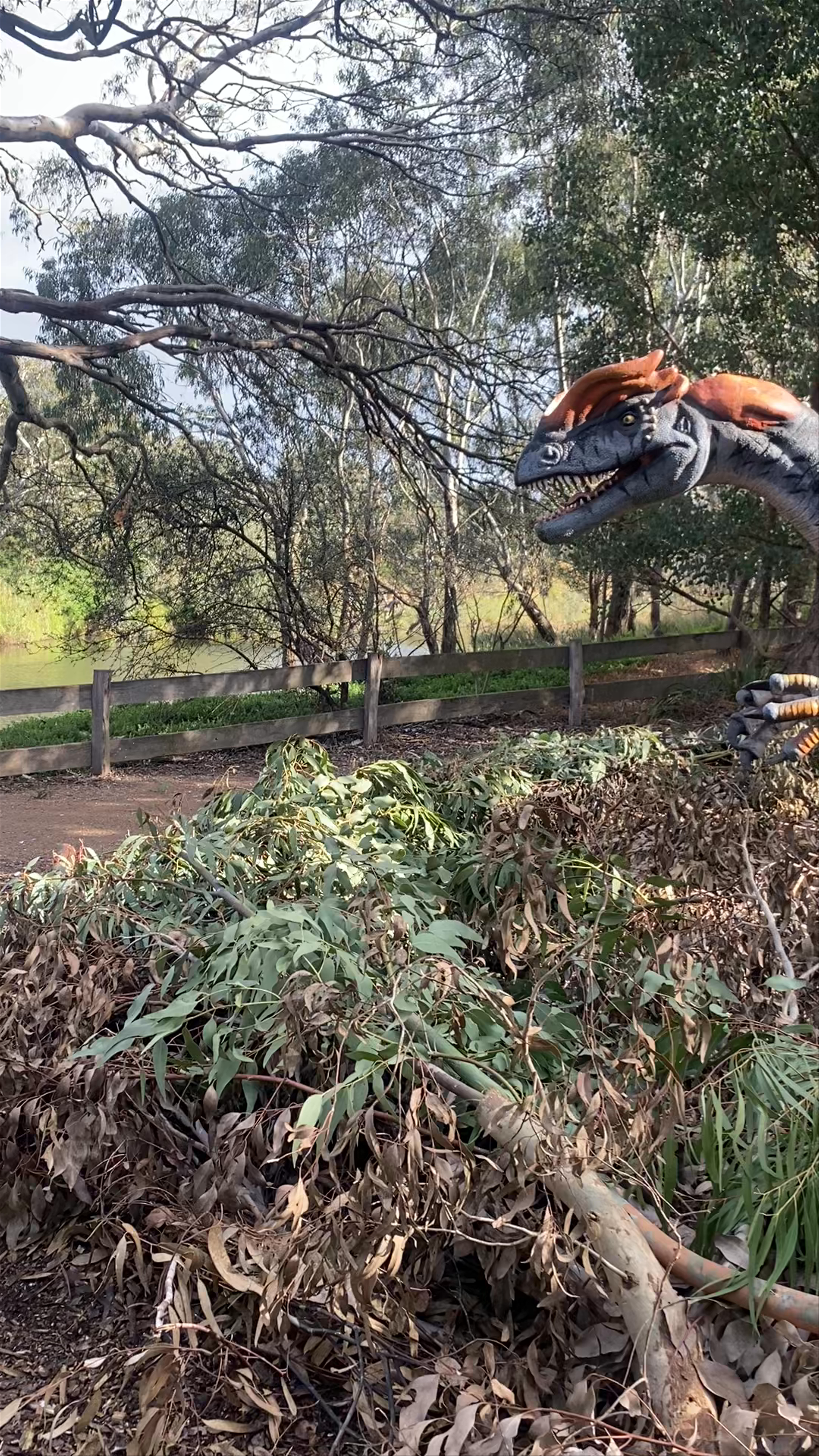 National Dinosaur Museum