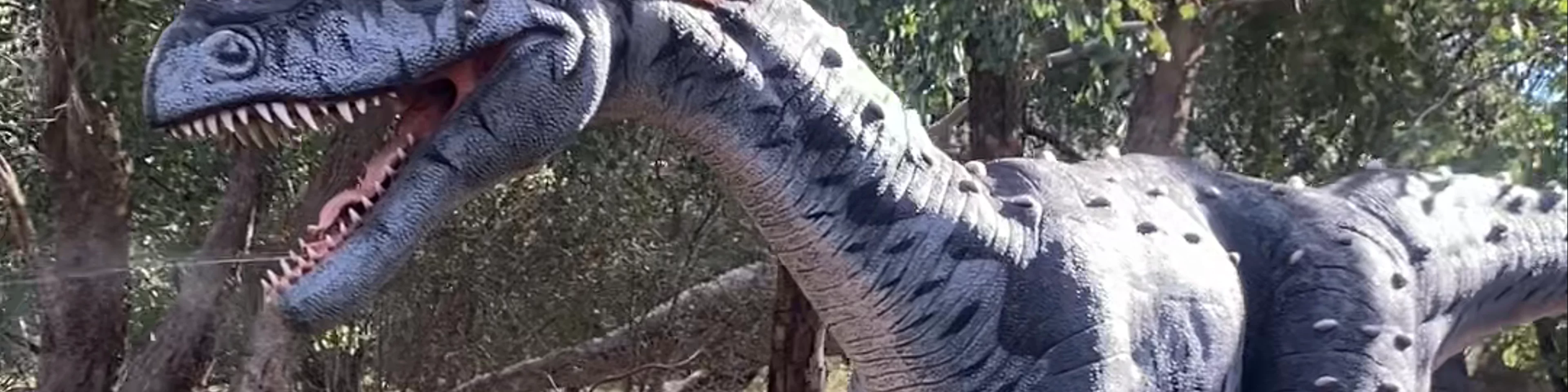 National Dinosaur Museum